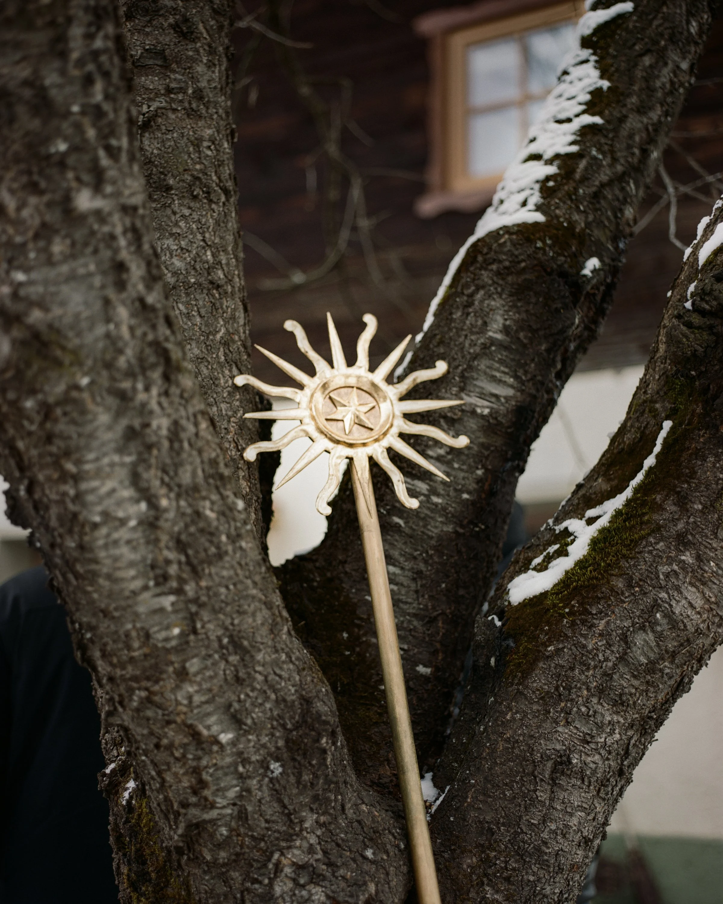 Eva Donckers_Today is a thousand seasons_11.jpg