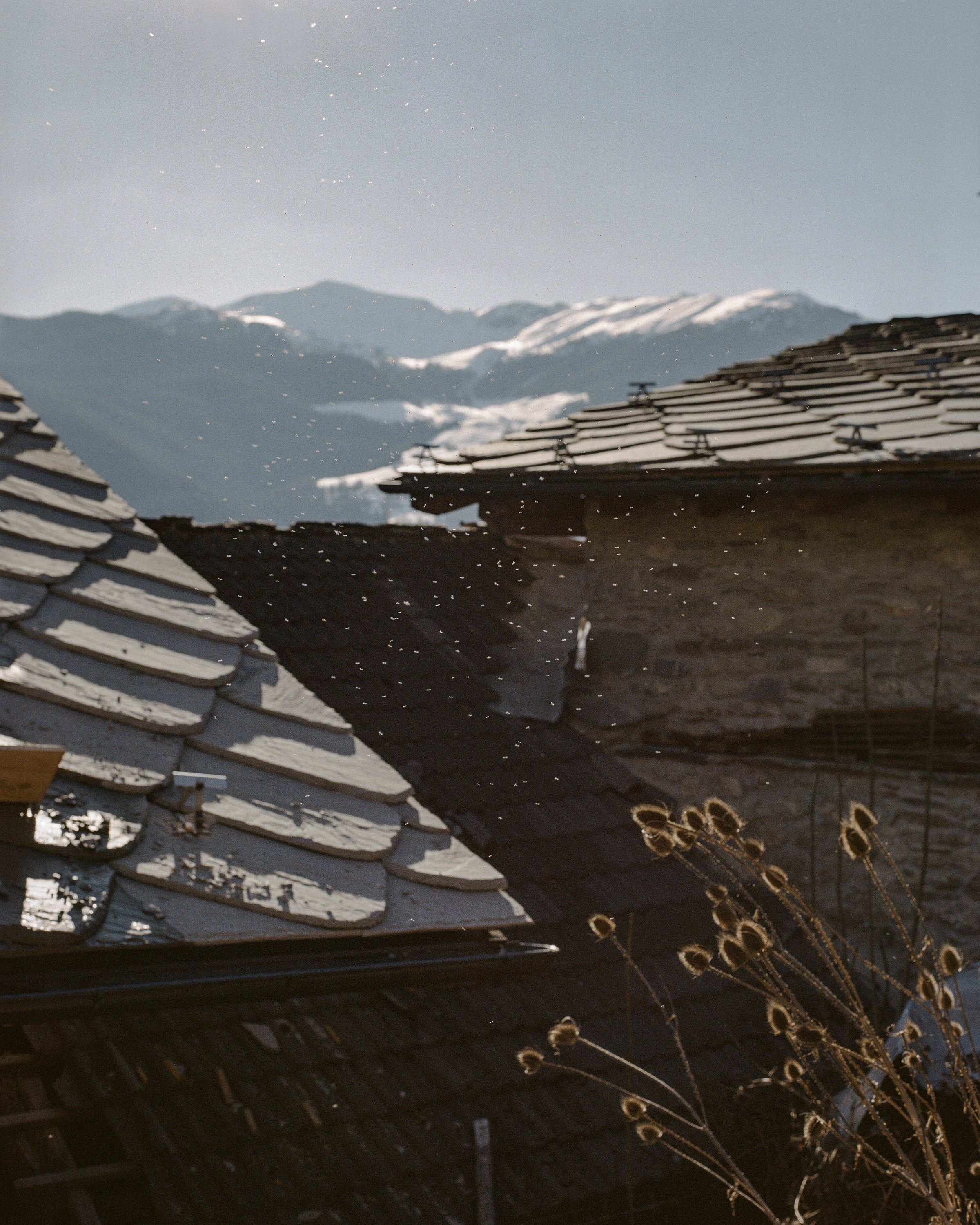 Eva Donckers_Today is a thousand seasons_03.jpg