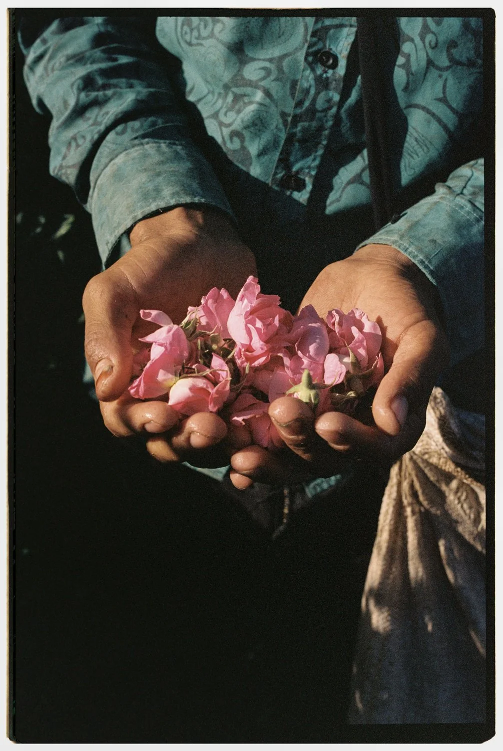Rose Valley by Eva Donckers HR-174.jpg