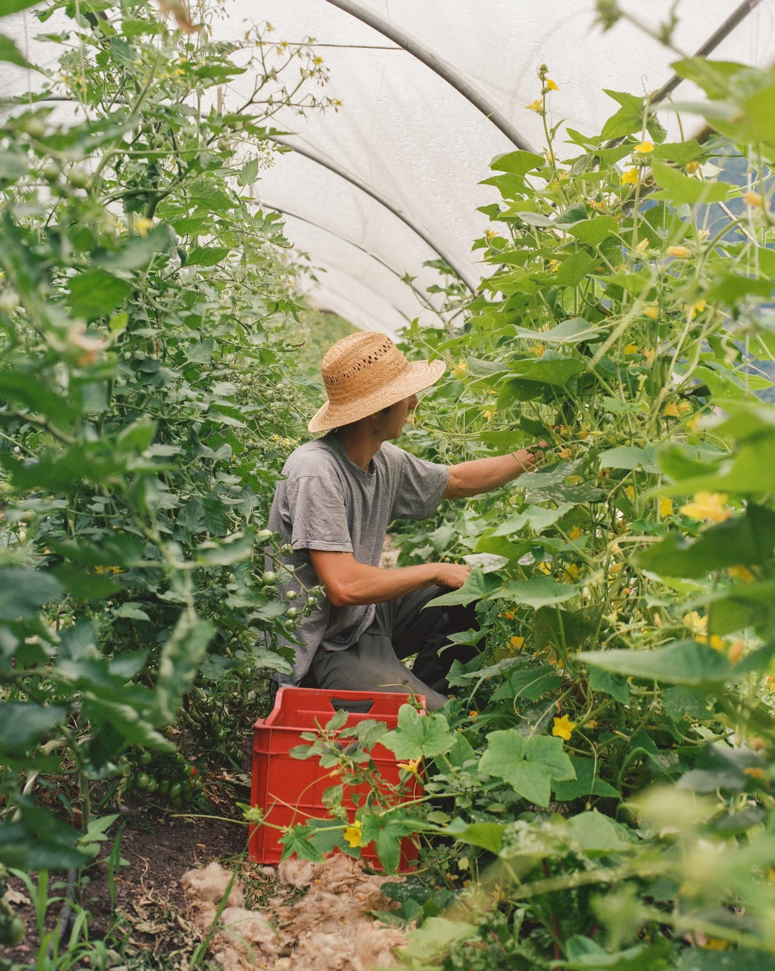 Stories by Eva Donckers LR-000013380007.jpg