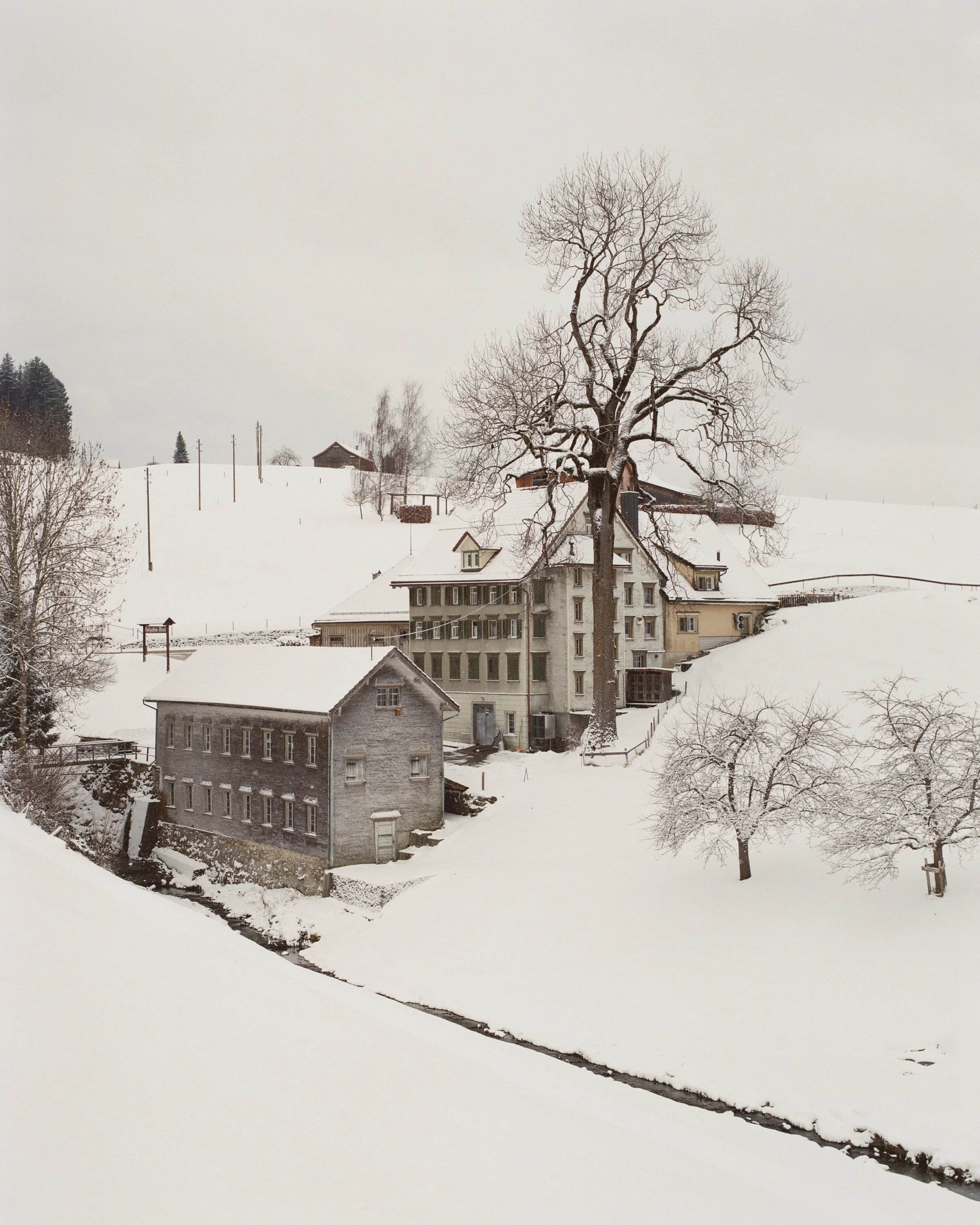 Eva Donckers_Today is a thousand seasons_19.jpg