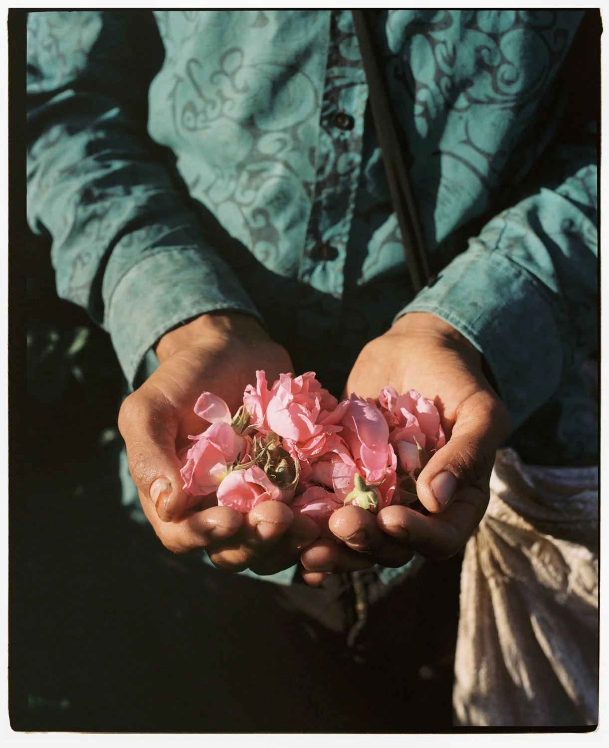 Rose Valley by Eva Donckers HR-288.jpg