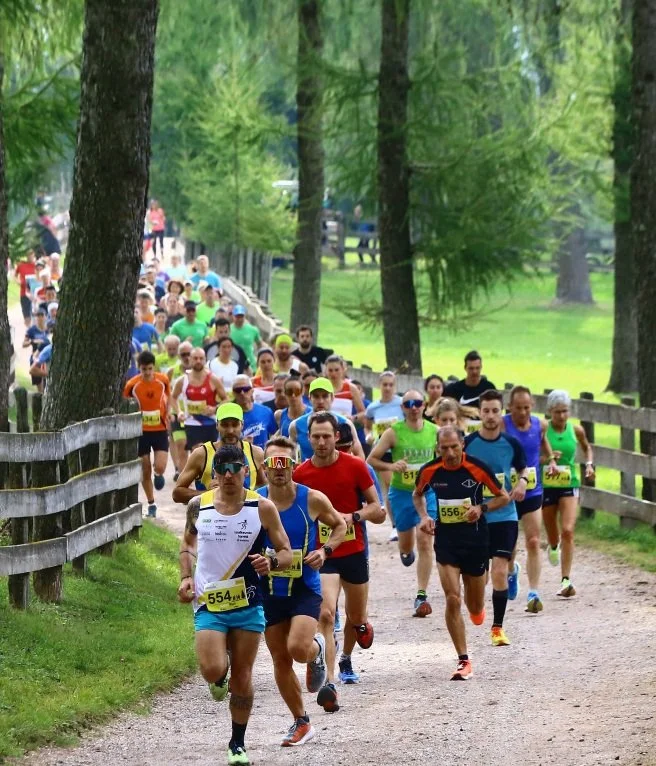 Der Soltn ruft... und der Countdown l&auml;uft!
Am Sonntag, 28.09.2025, also in knapp einer Woche f&auml;llt der Startschuss zum legend&auml;ren Panoramalauf der Soltnflitzer &ndash; 15 km durch traumhafte Landschaften oder ganz entspannt beim Just f