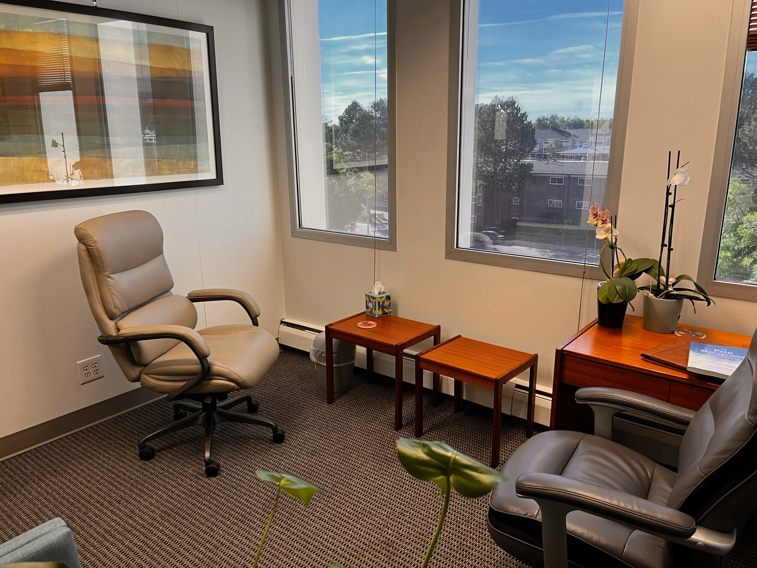 Office room with two leather chairs, wooden side tables, a potted orchid, window view of trees and buildings, and framed artwork on the wall.