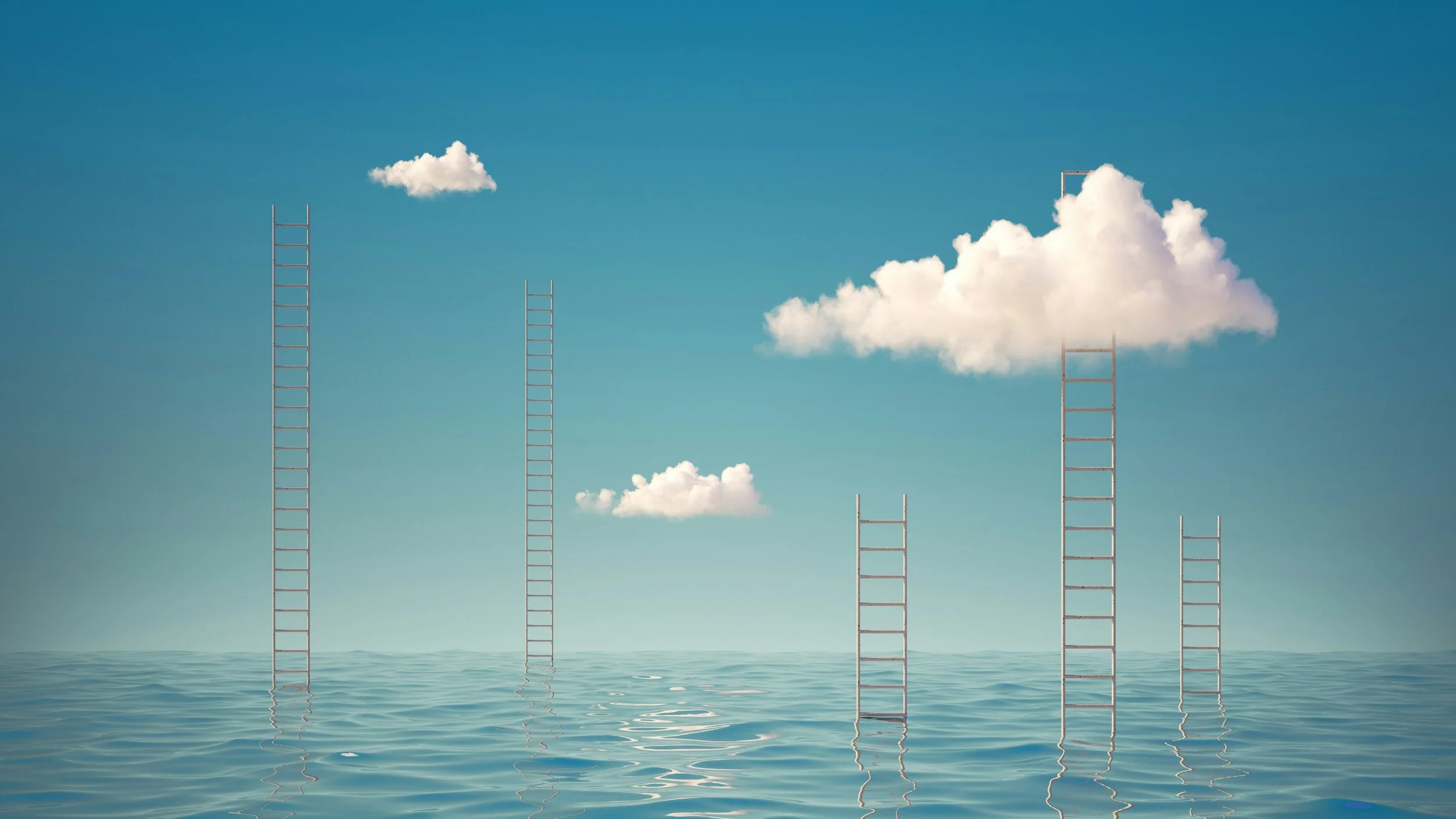 Building a sustainability career for now and into the future