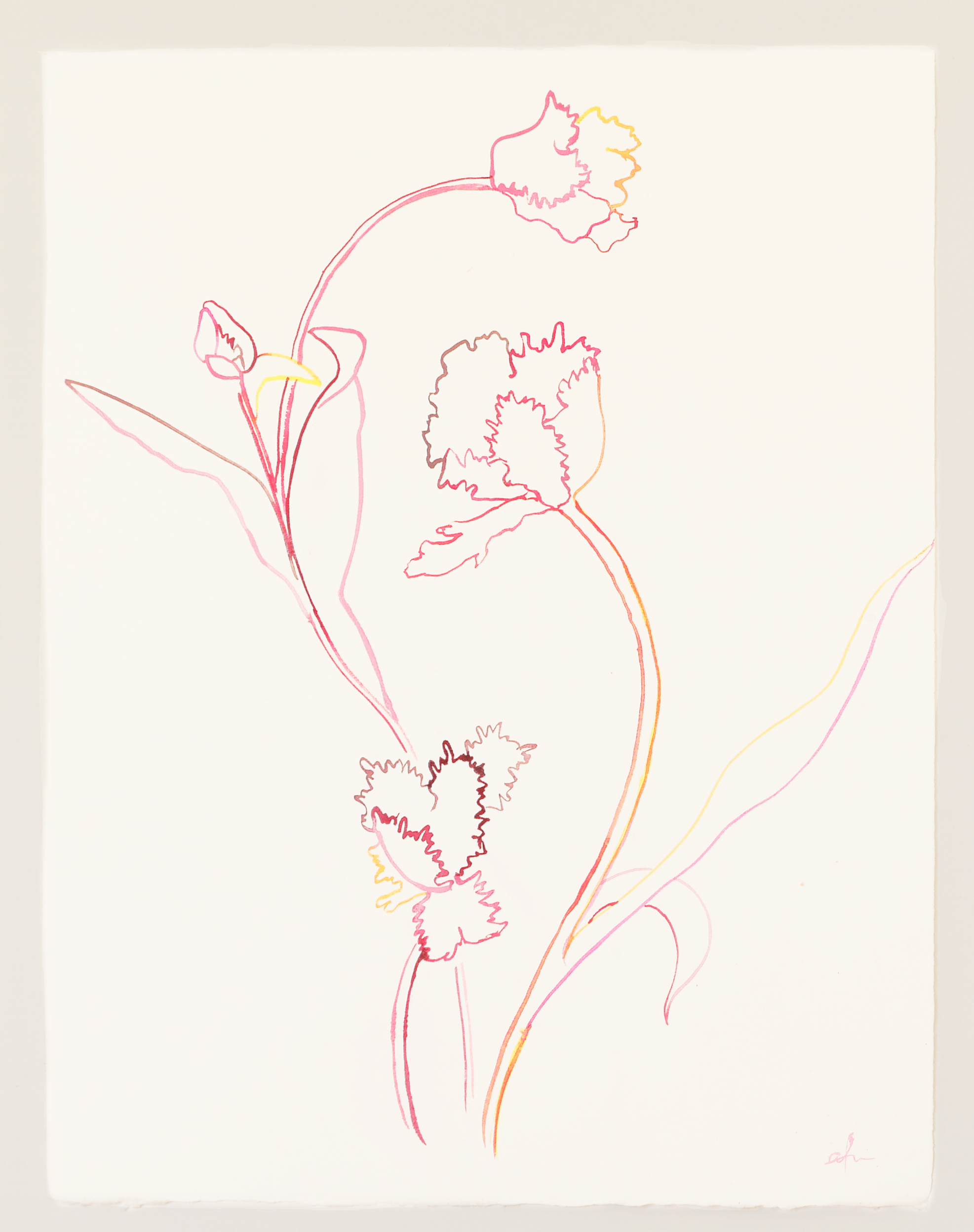 Amy Foster Neill - "Soft Like Seeds #1"  (Framed)