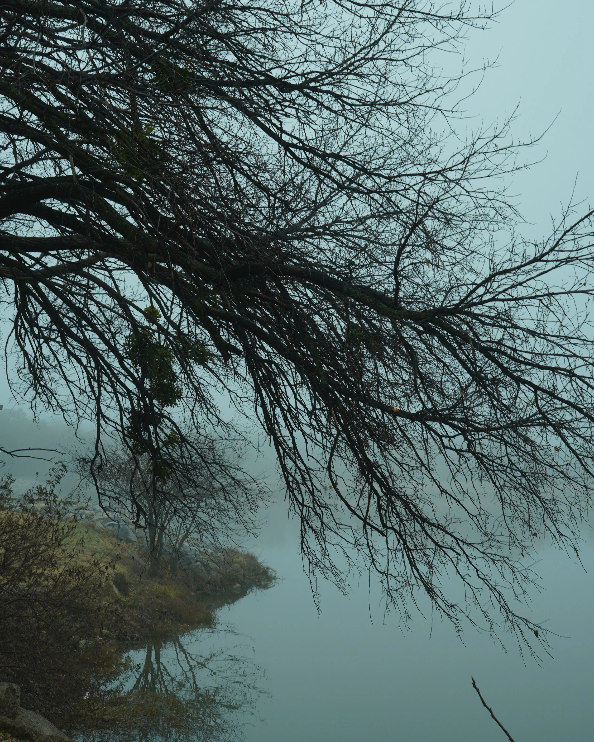 fog series_-8.jpg