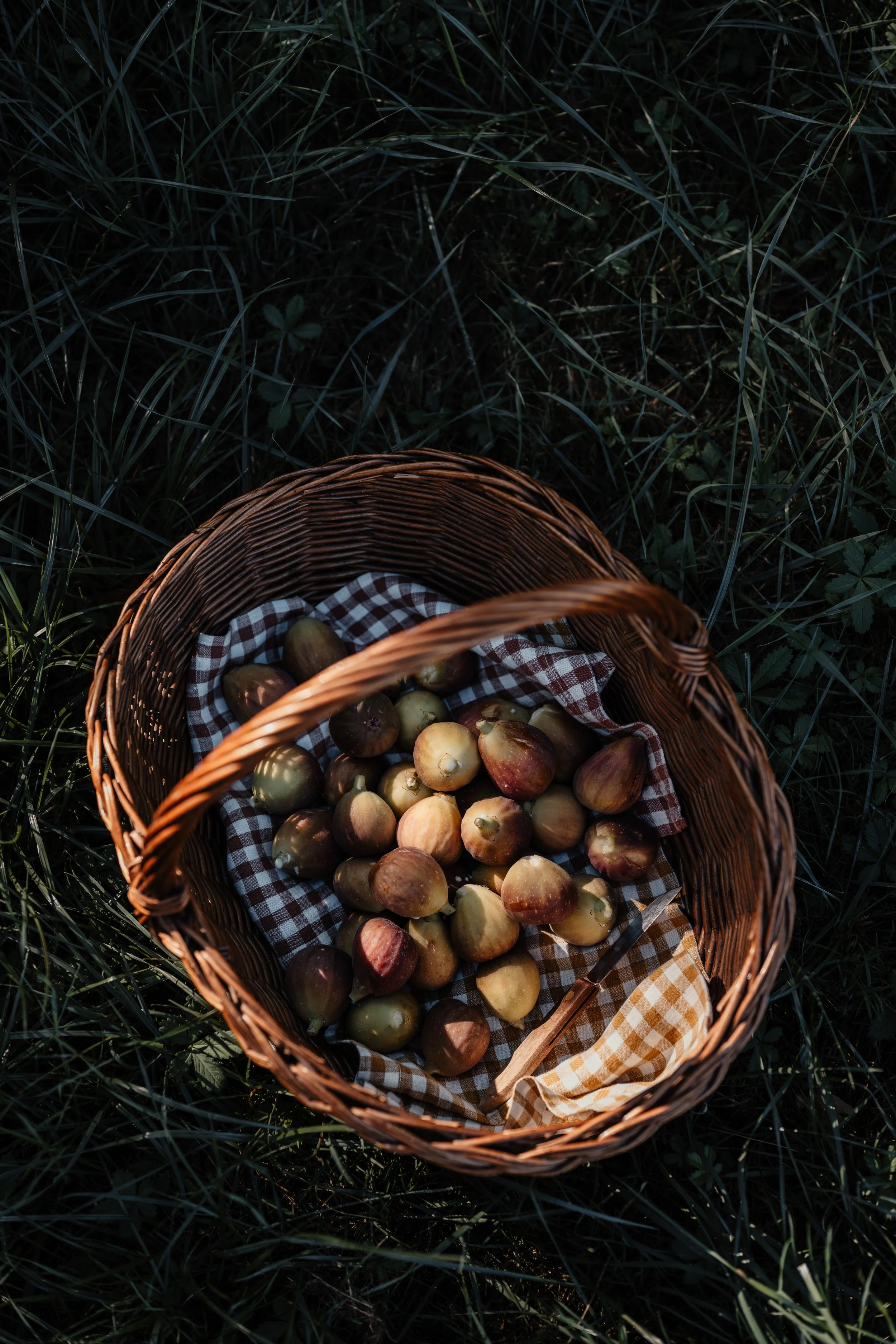 domaine la commanderie boersch automne figues cueillies dans un panier