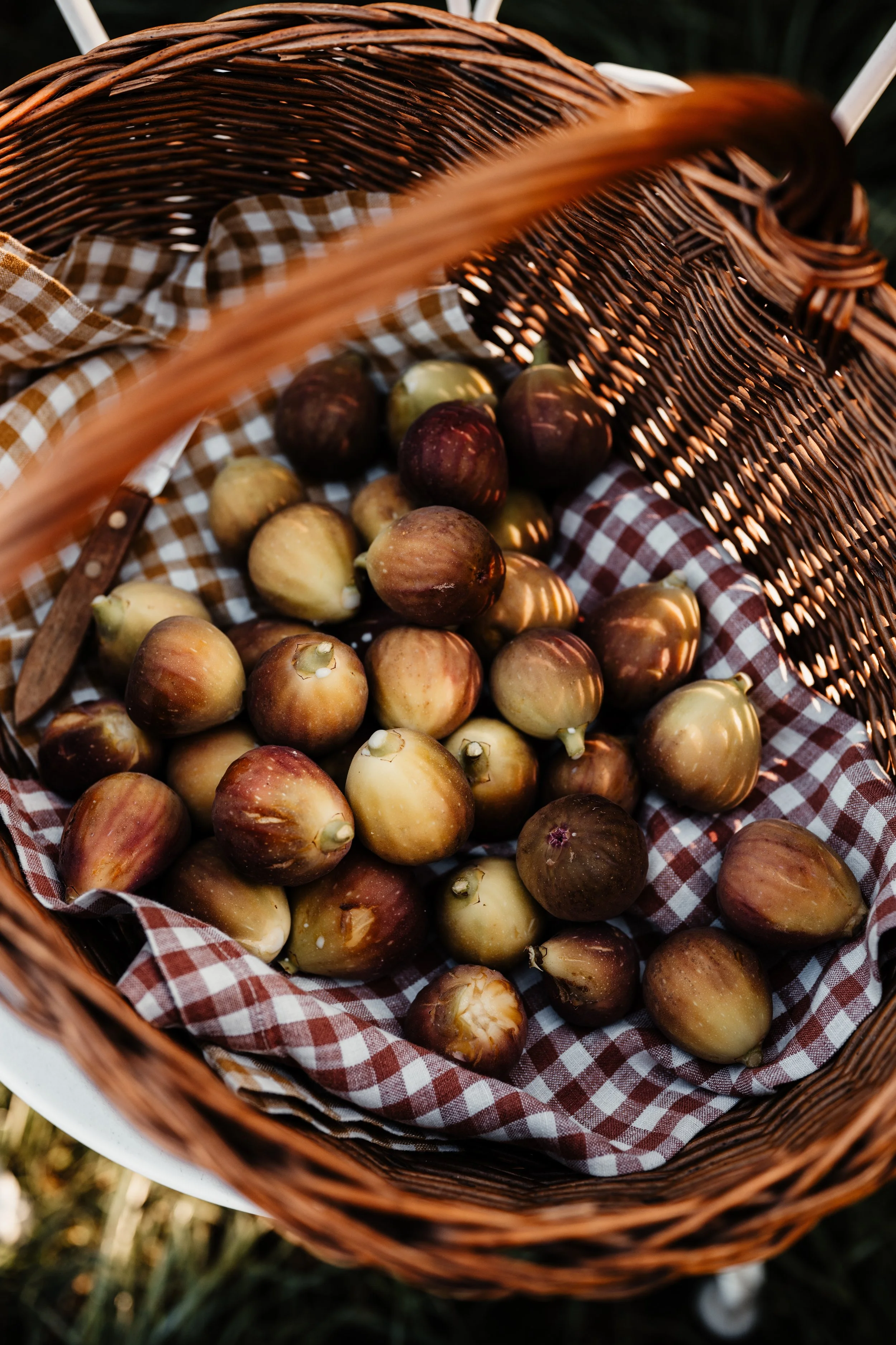 domaine la commanderie boersch automne figues cueillies dans un panier