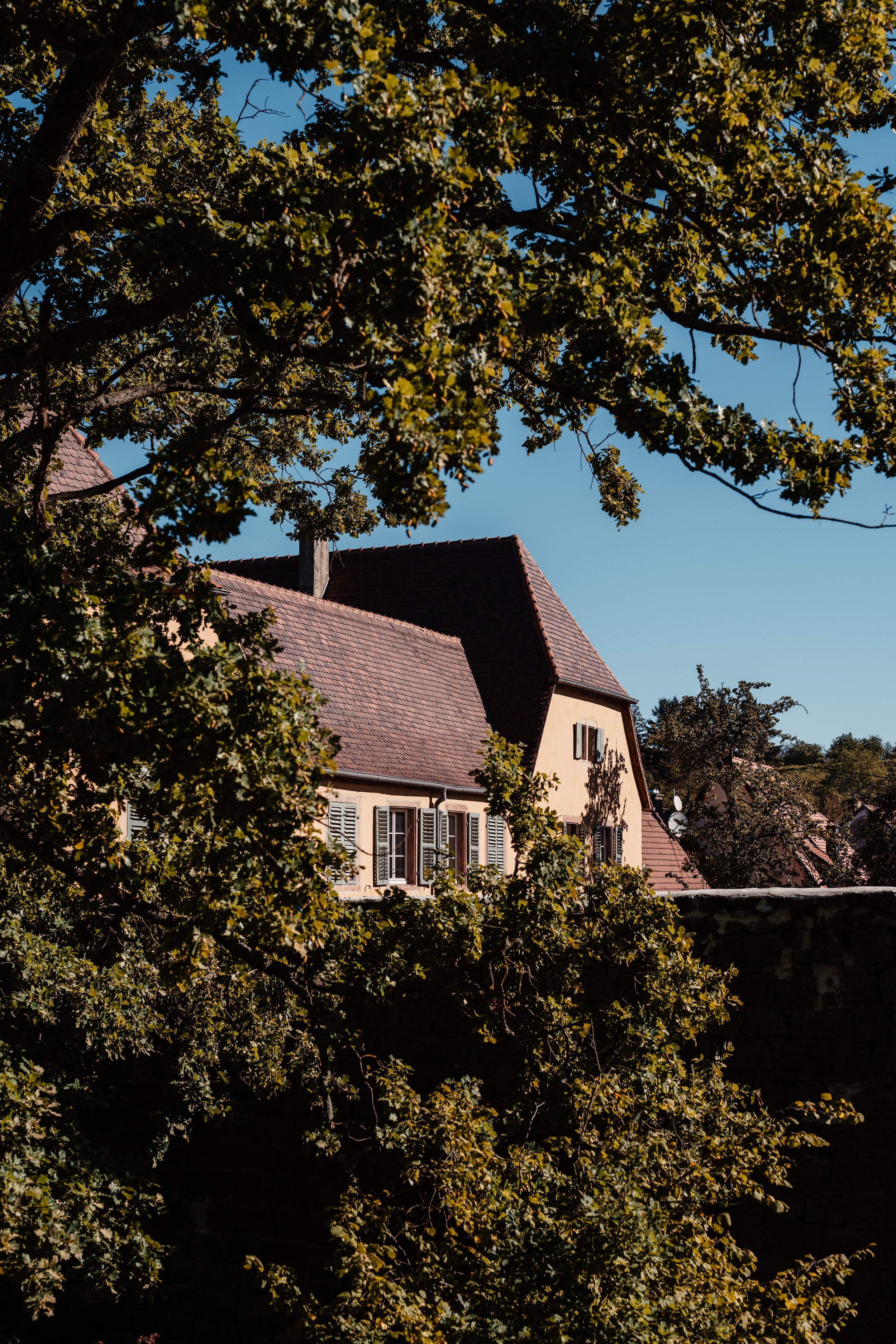 domaine la commanderie boersch automne