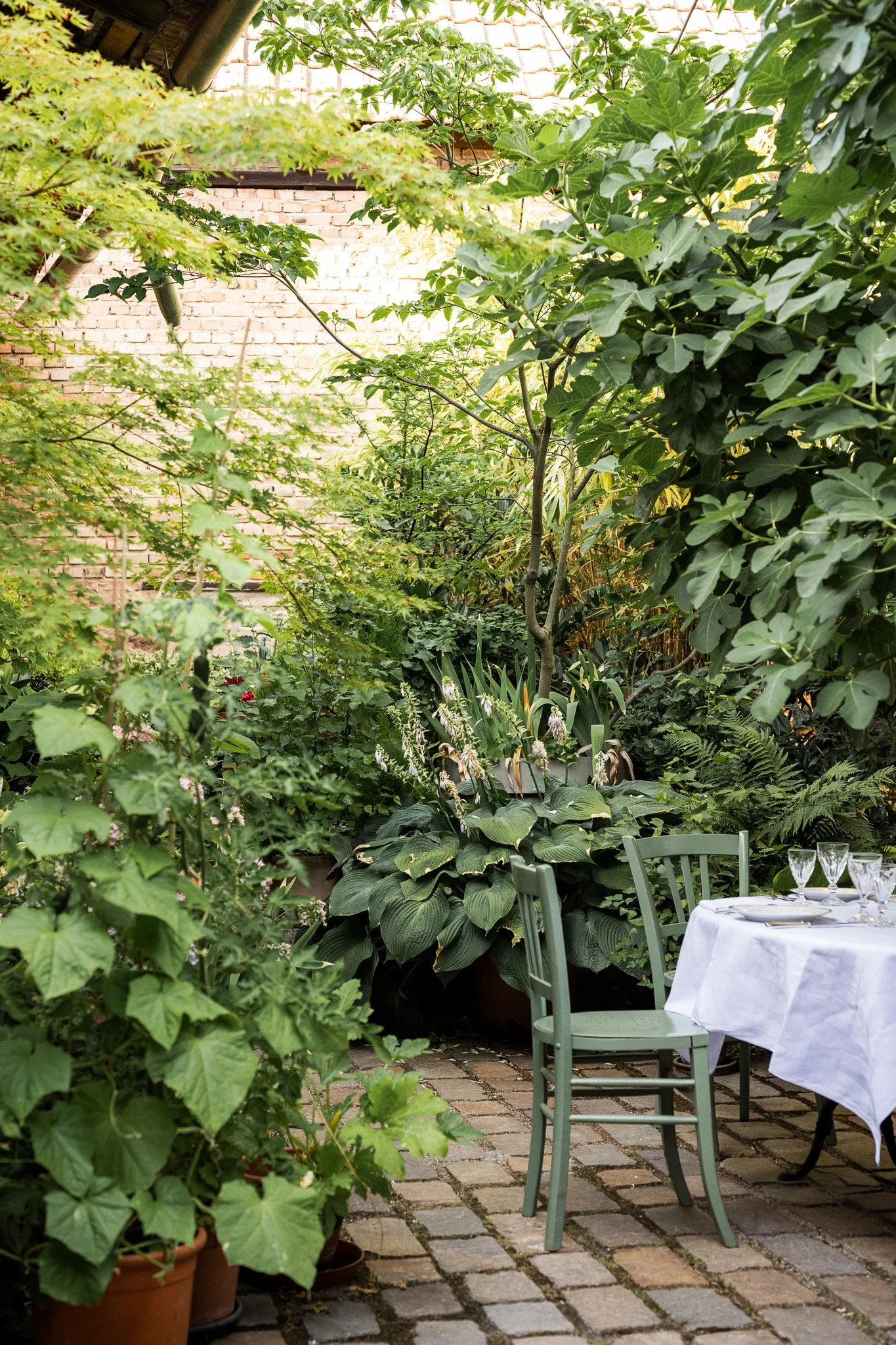 Une table de repas en extérieur sous une pergola, entourée de plantes vertes et de pots de fleurs, avec des verres à vin sur la table.