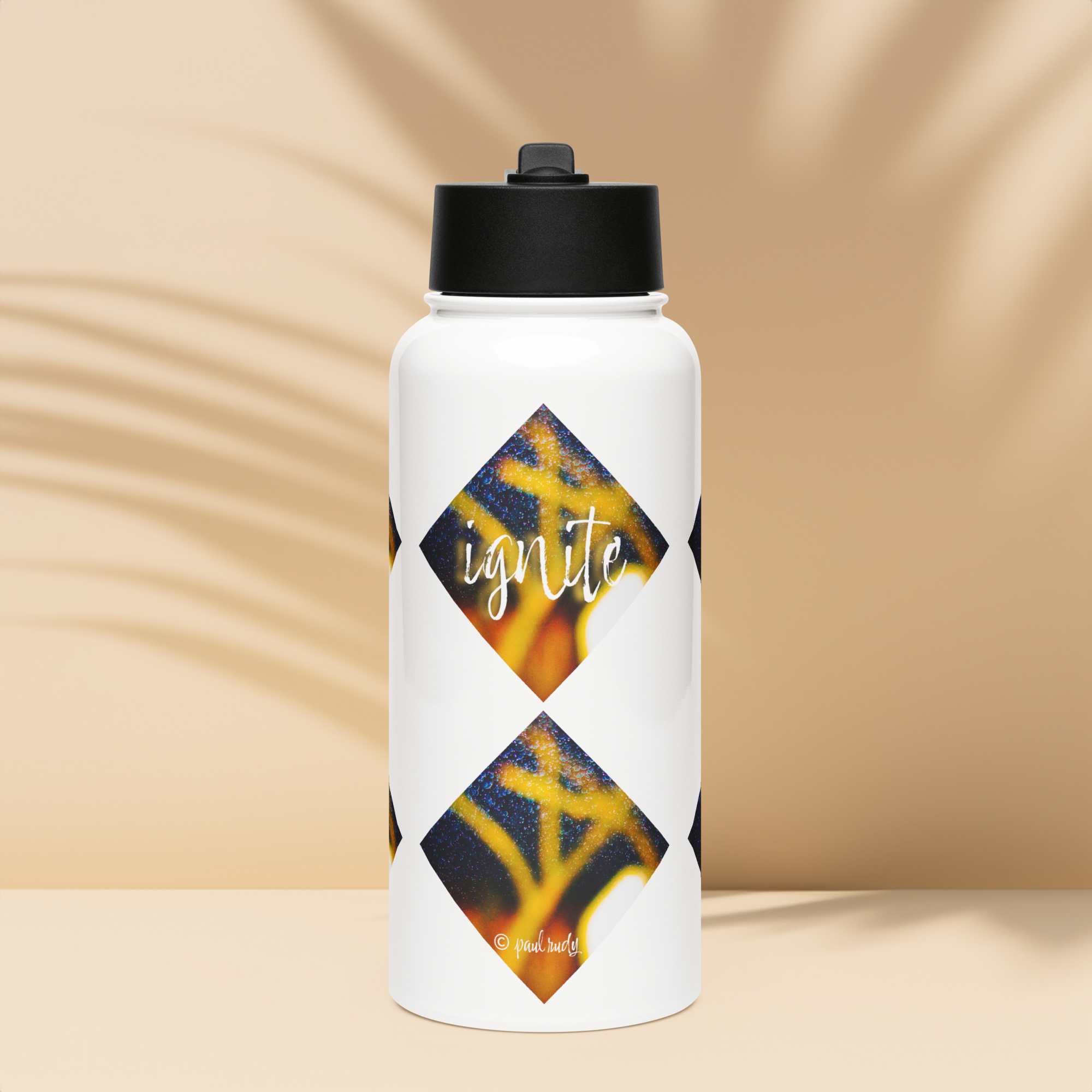 Stainless Steel Water Bottle with a Straw Lid - 32 oz - Ignite by Paul Rudy & the Kate Shu Collective