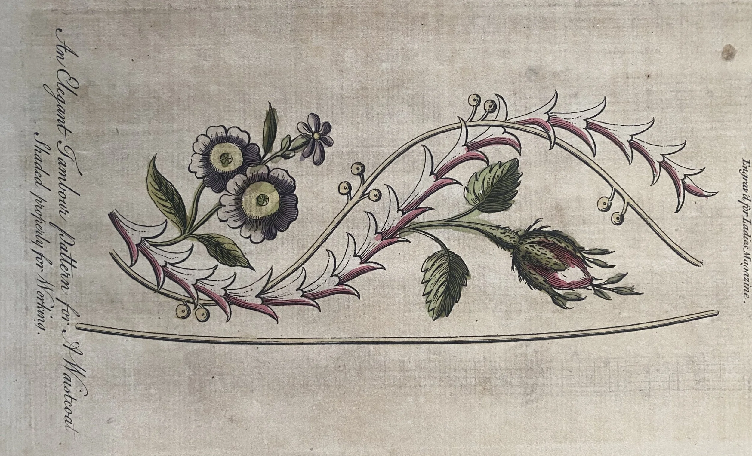 A shaded pattern for embroidering the front of an 18th century waistcoat