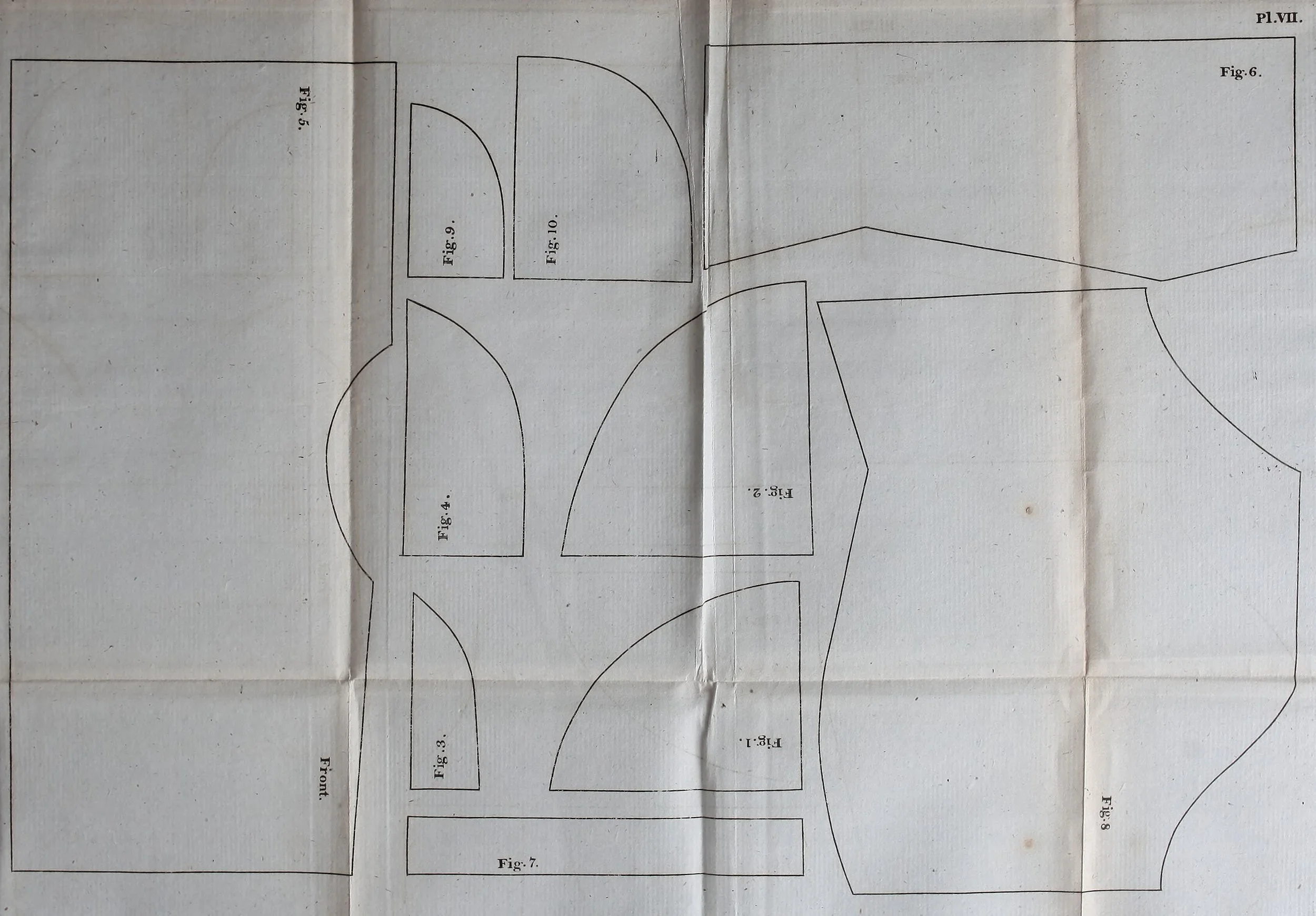 Plate 7