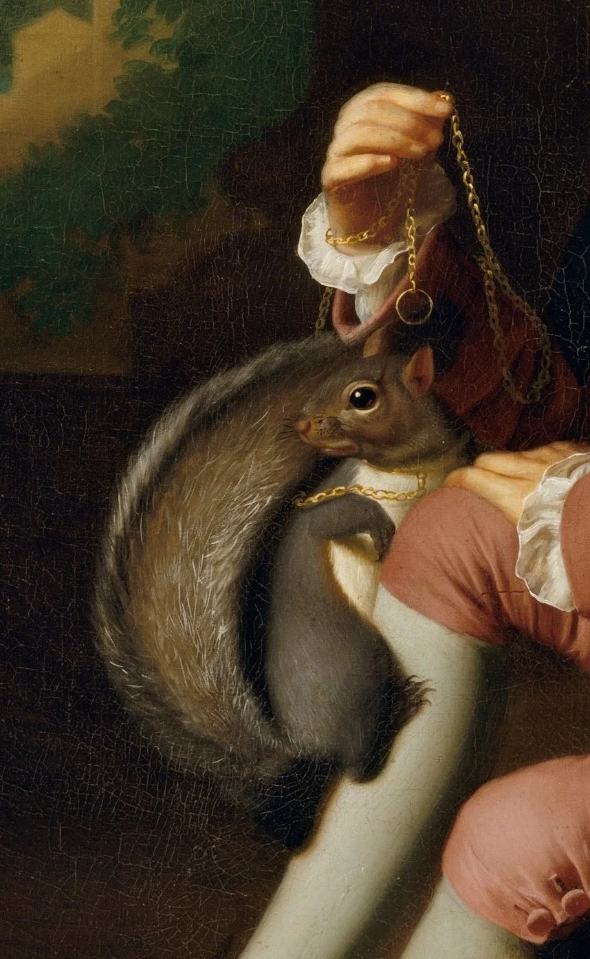 Daniel Crommelin Verplanck's pet grey squirrel, 1771