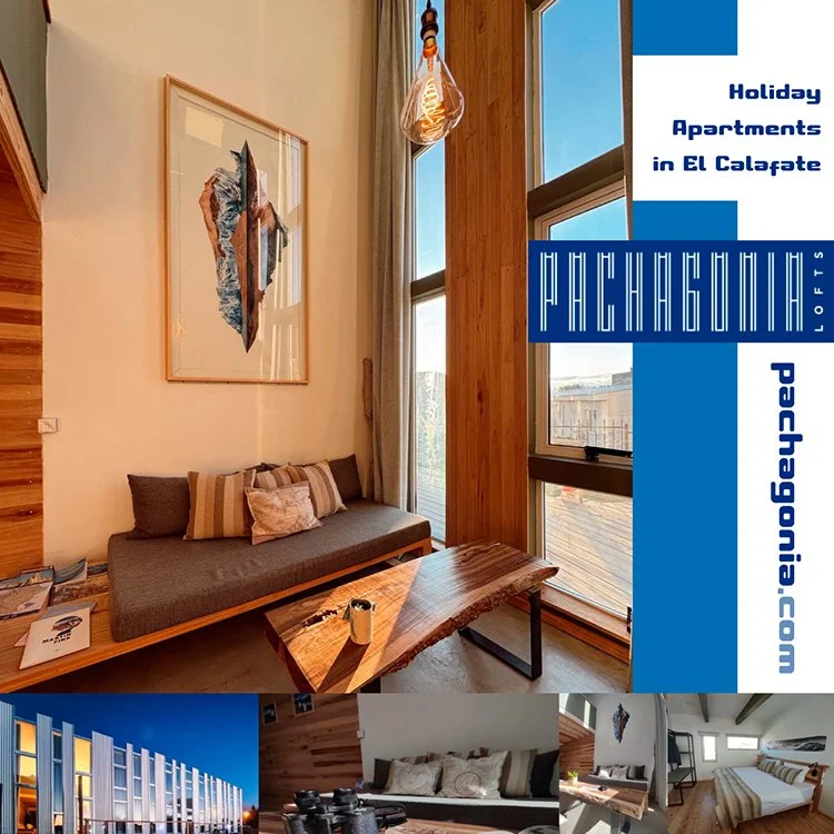 The image shows a cozy interior of a vacation apartment with wooden accents, a gray sofa with striped pillows, a wooden coffee table, and large windows allowing natural light. There's a framed artwork of a mountain scene on the wall and an exposed light bulb hanging from the ceiling.