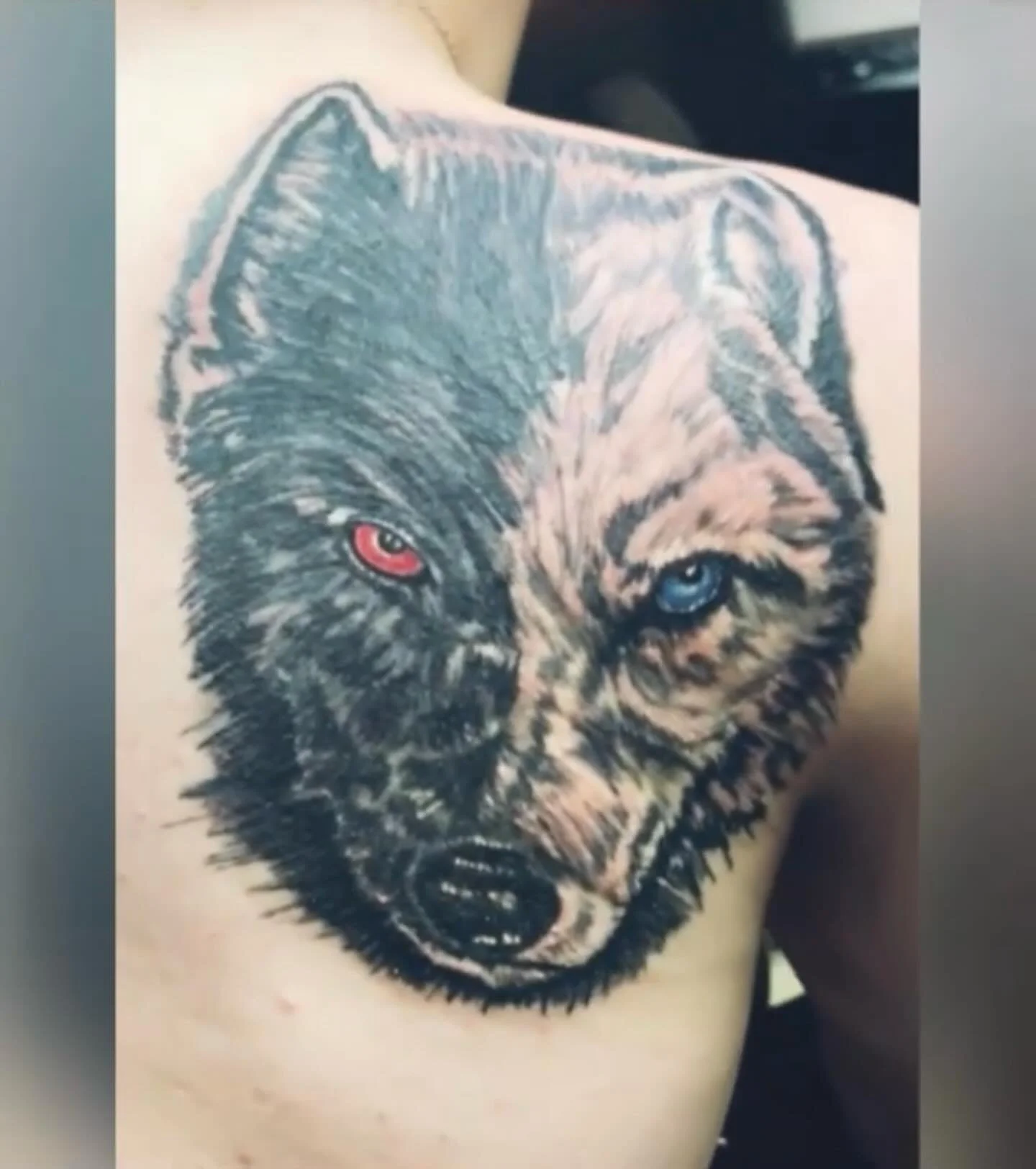 Two sides. One beast. 🔥🐺
Tattoo by Ceaser @tatsbyczr done @pennsnneedles 💉

#wolftattoo #colorcontrast #tattooartist #blackandgrey #tattooart #pennsnneedles #bethlehempa #tatsbyczr #inkedlife #tattoolove
