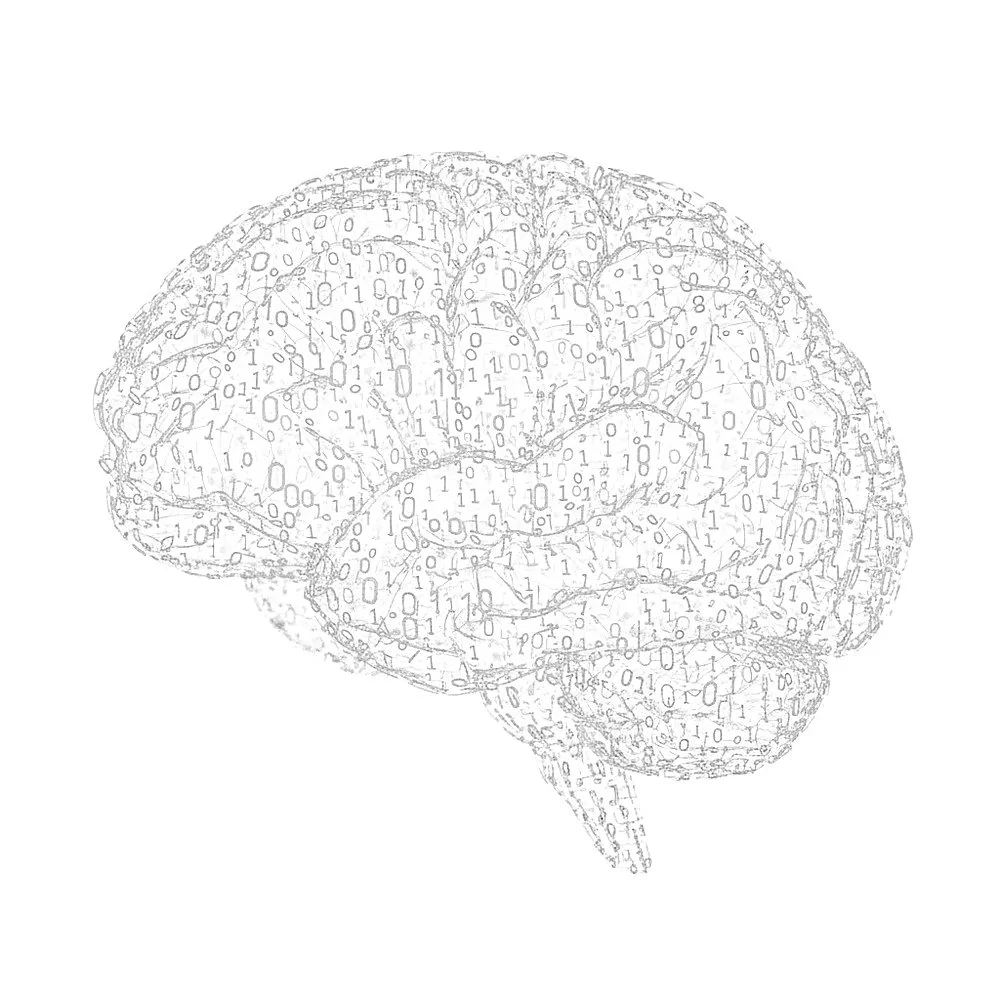 Line drawing of a human brain with binary code inside, on a white background.
