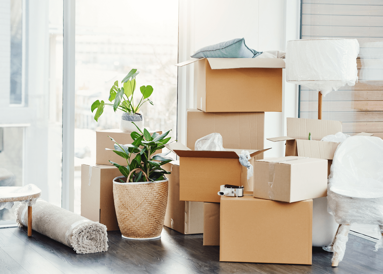 A cluttered office space with cardboard boxes, potted plants, a desk lamp, and two office chairs, one wrapped in plastic, near a staircase with metal railings.