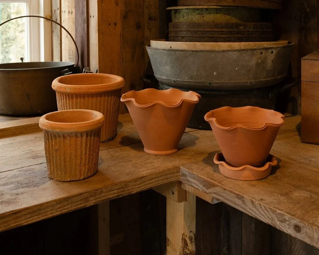 terracotta pollyanna Wilkinson Pots