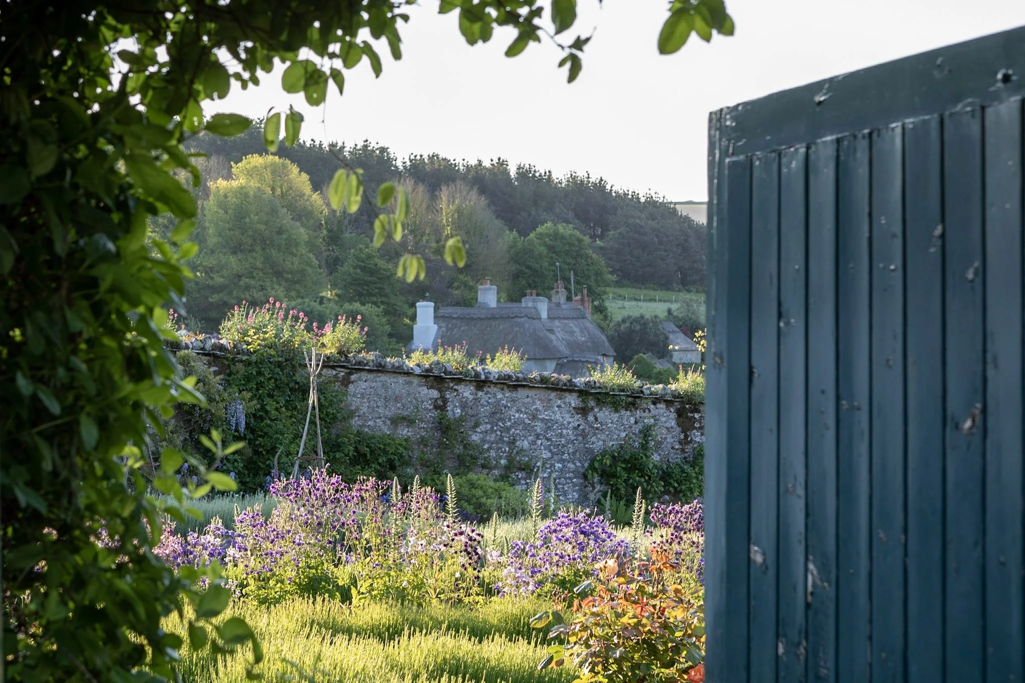 bee garden entrance at mothecombe gardens