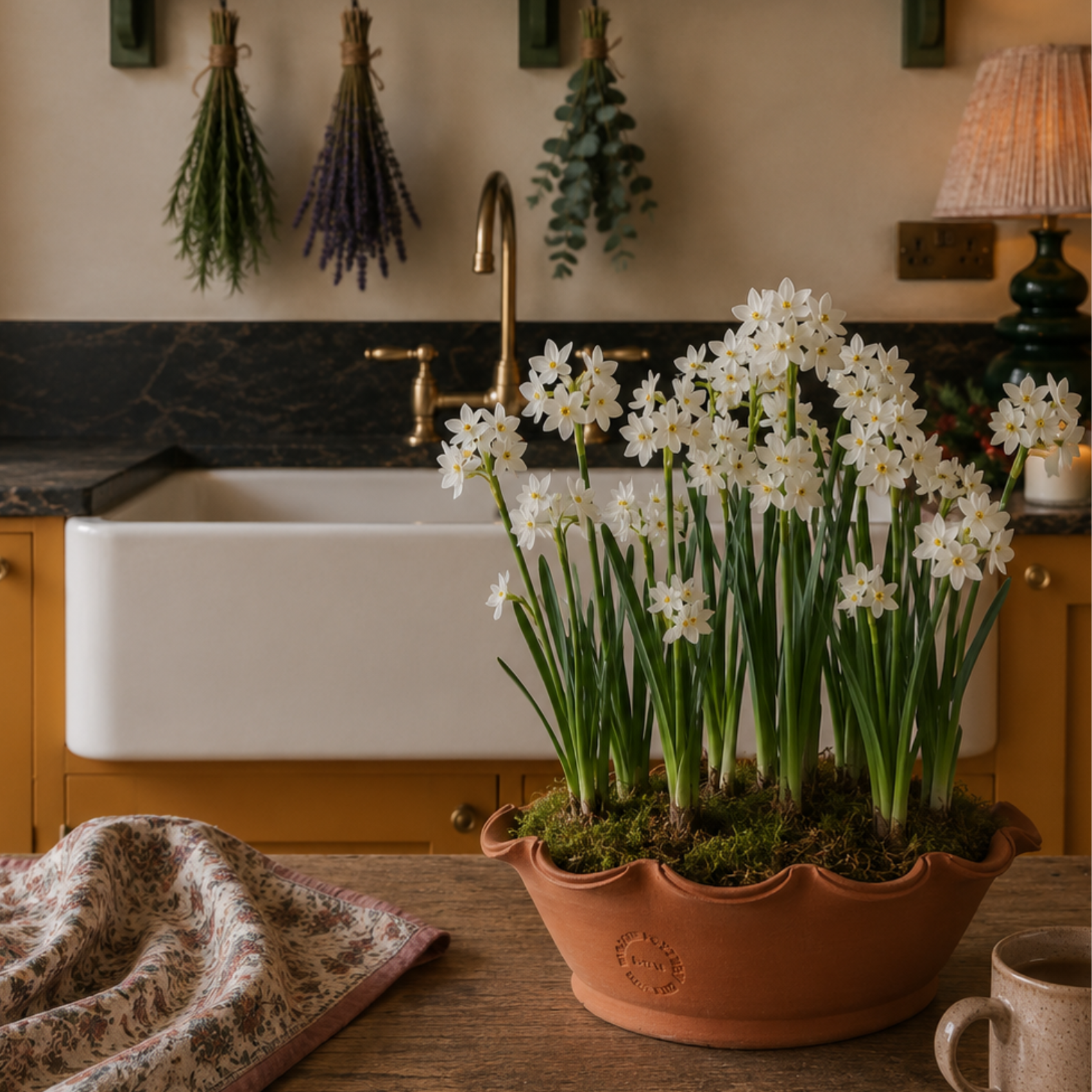 Paperwhite planting workshop