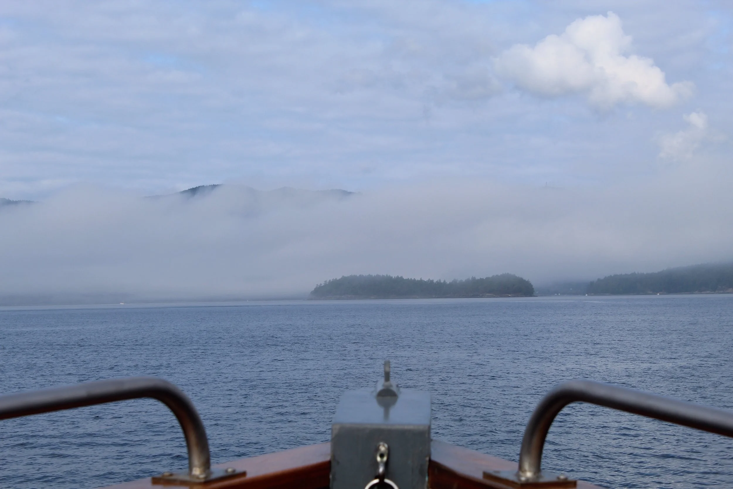 The Sea Scouts prep year round by reading and studying, but the real test is on the water. They passed.