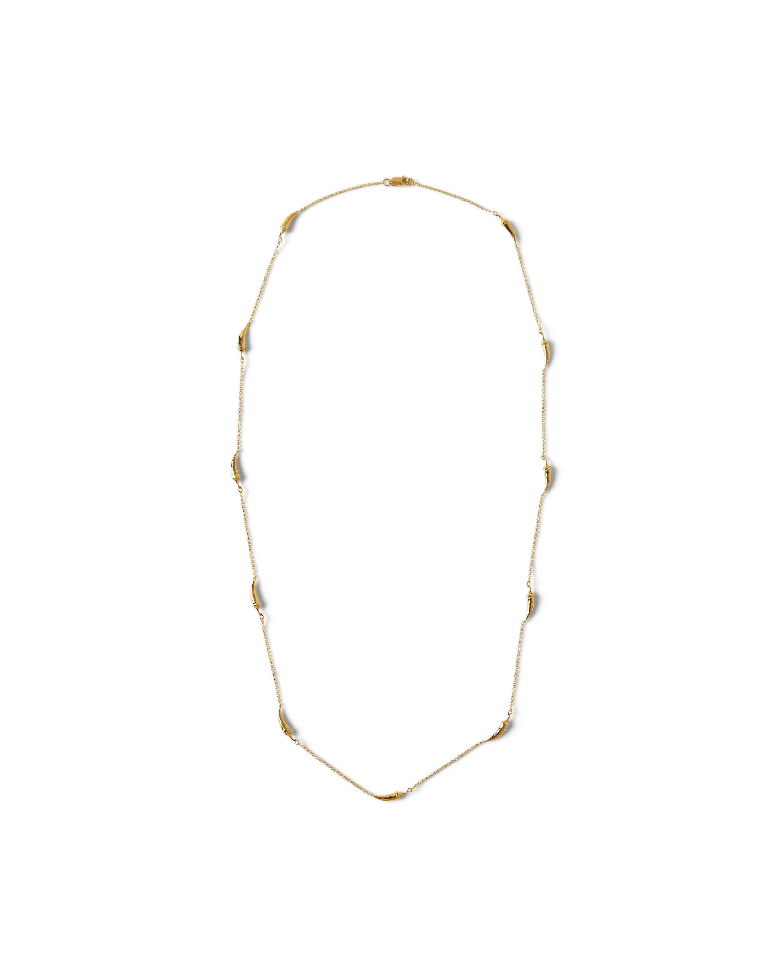 IMG_2025_11_13_3126 copy.jpg