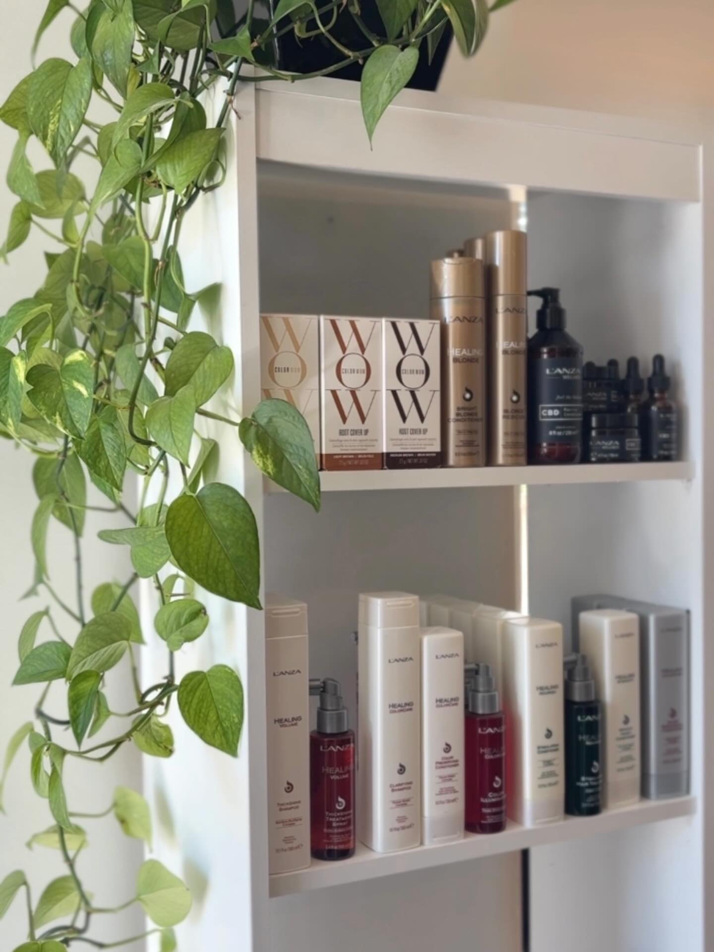 Inside Wisp Salon Wilmington: A Few of Our Favorite Products