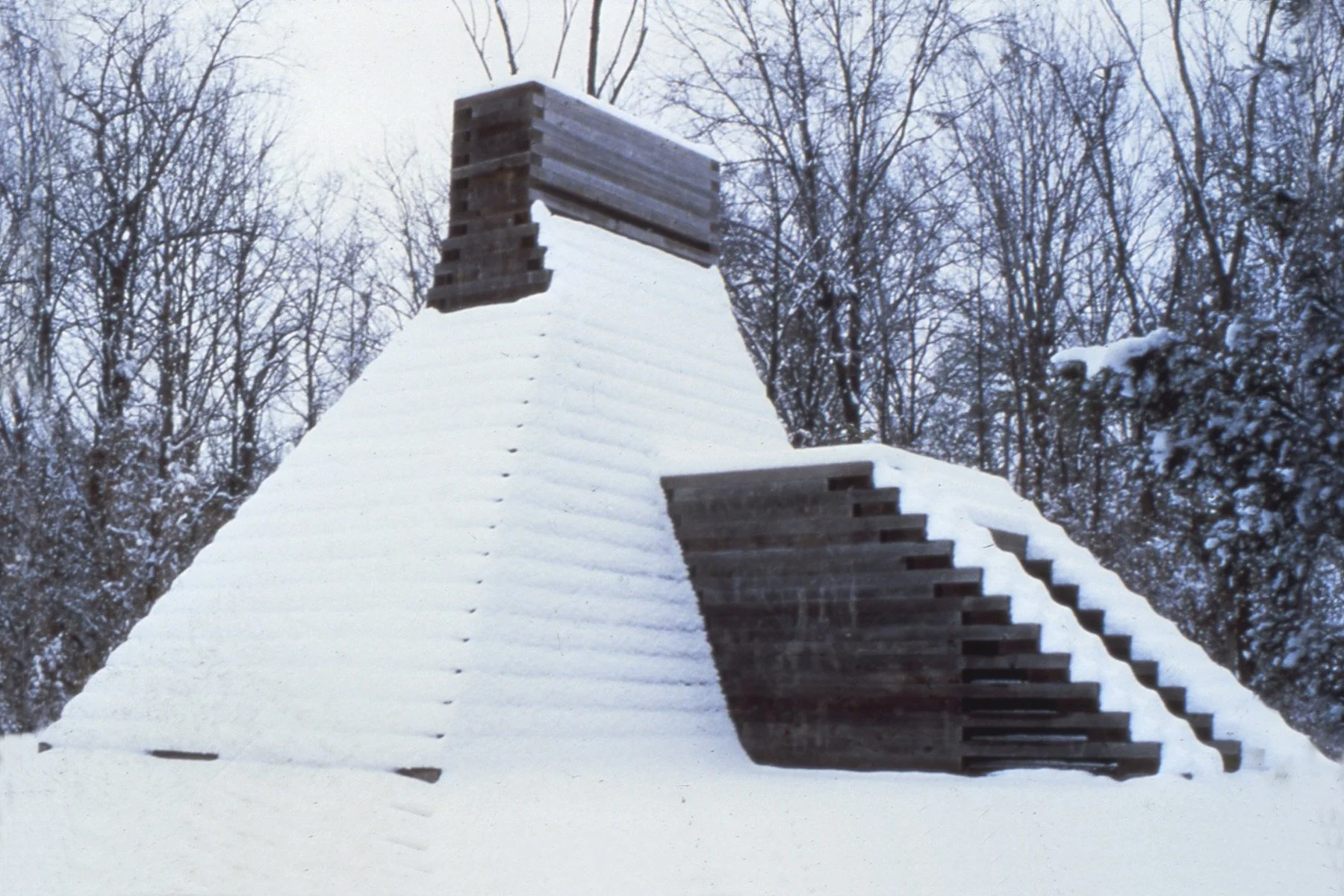Laumeier Project 05.jpg