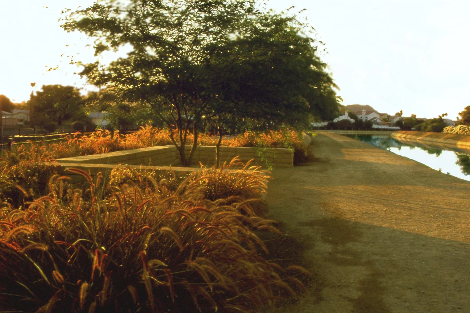 Grass Room