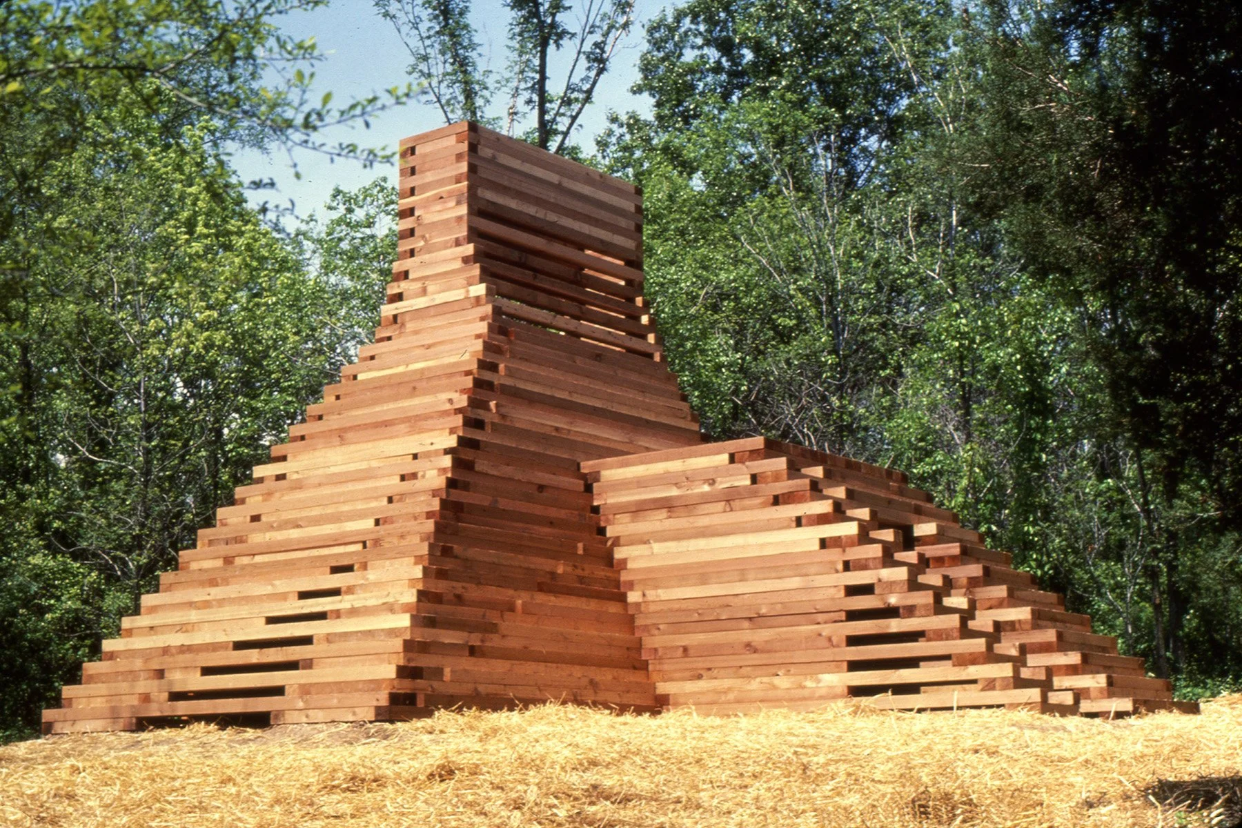 Laumeier Project 01.jpg