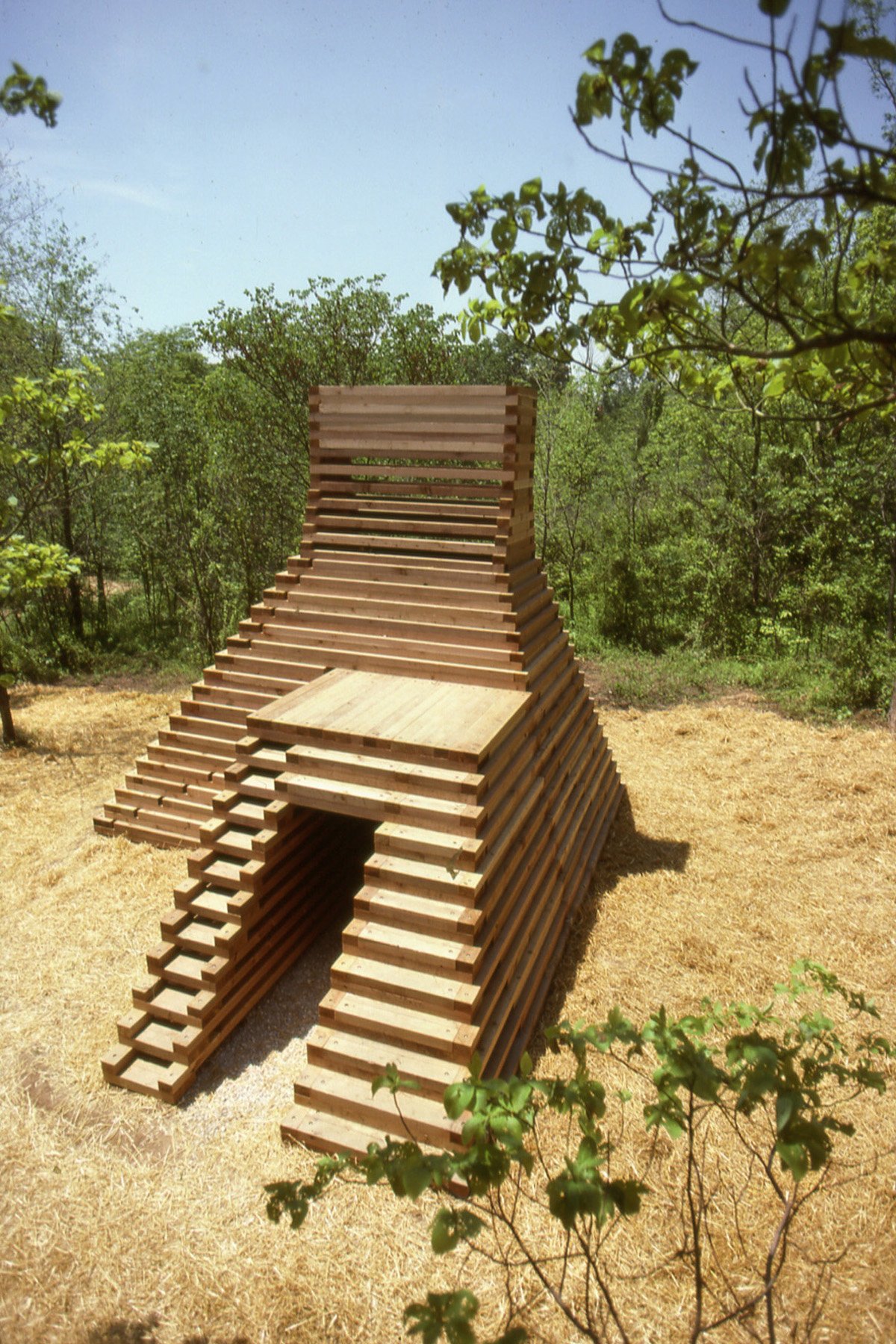 Laumeier Project 02.jpg