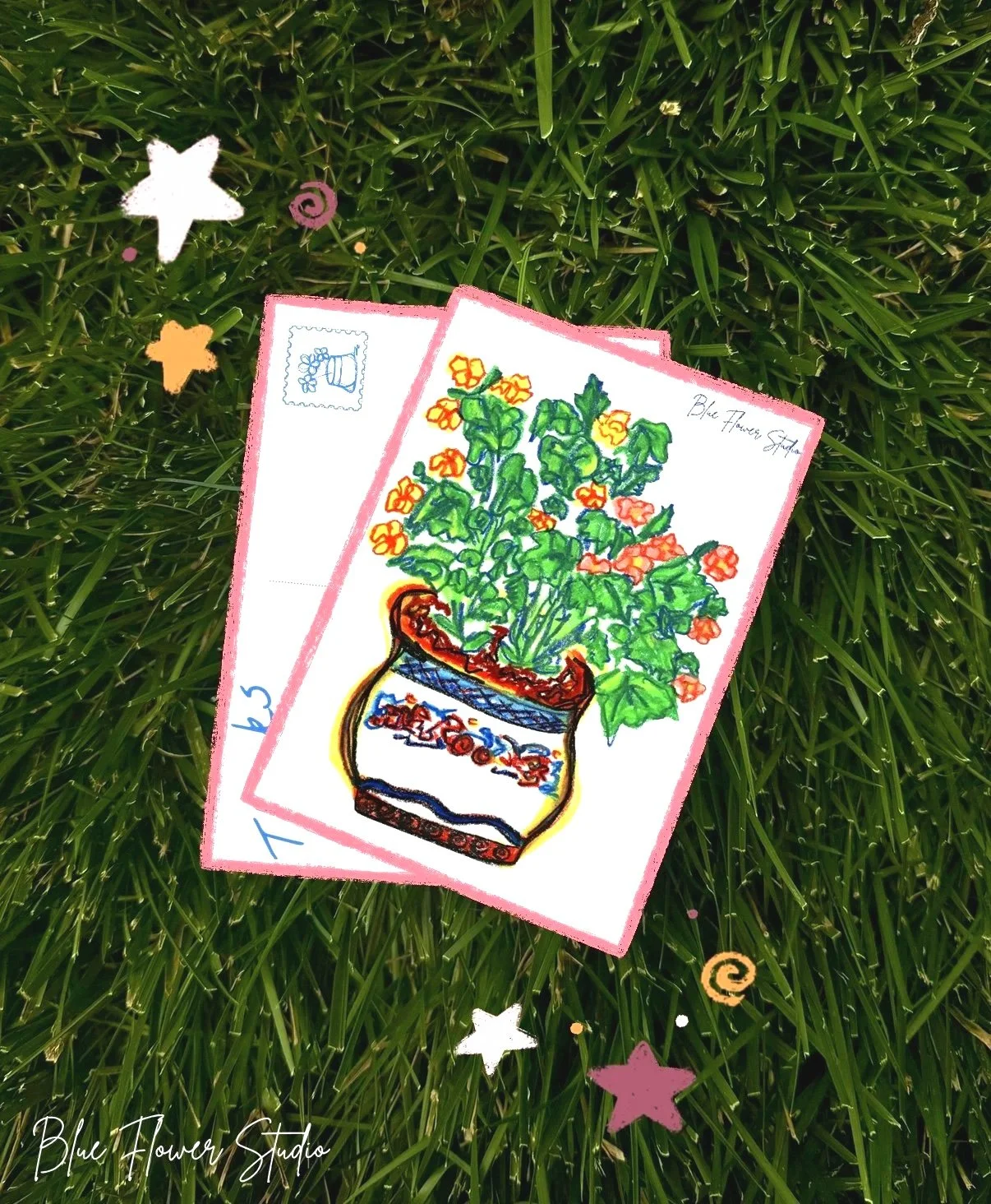 POTTED PLANT POSTCARD