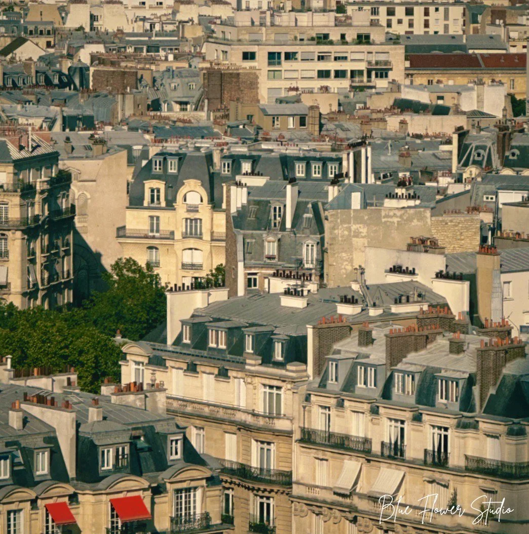 Paris City W.jpg