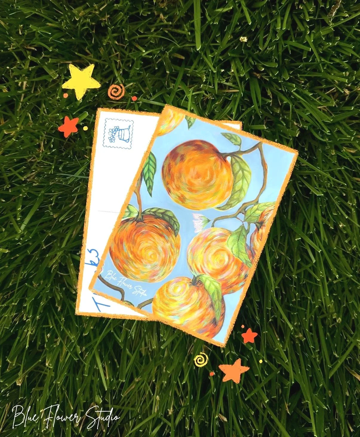 ORANGES POSTCARD