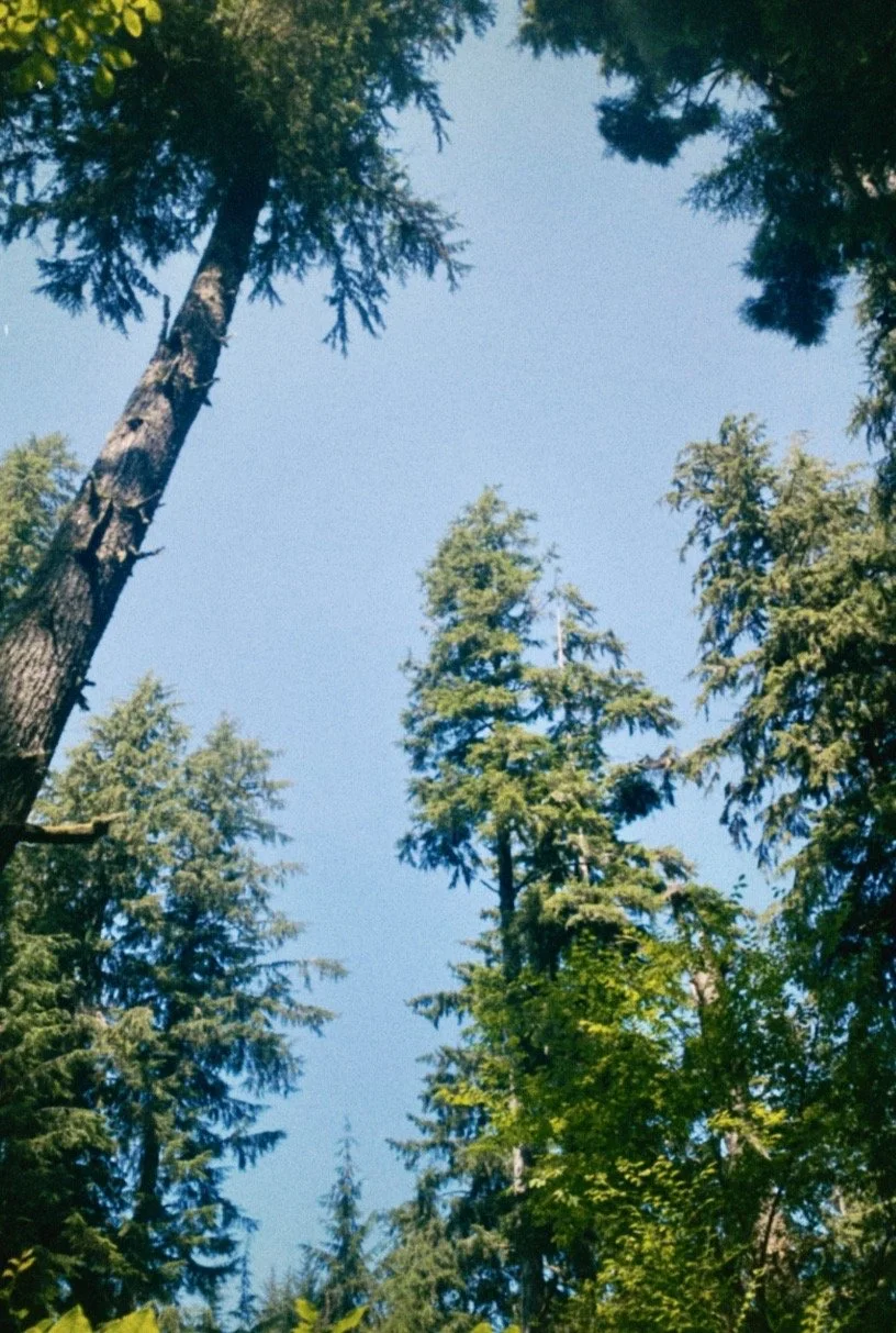 Portland OR #2