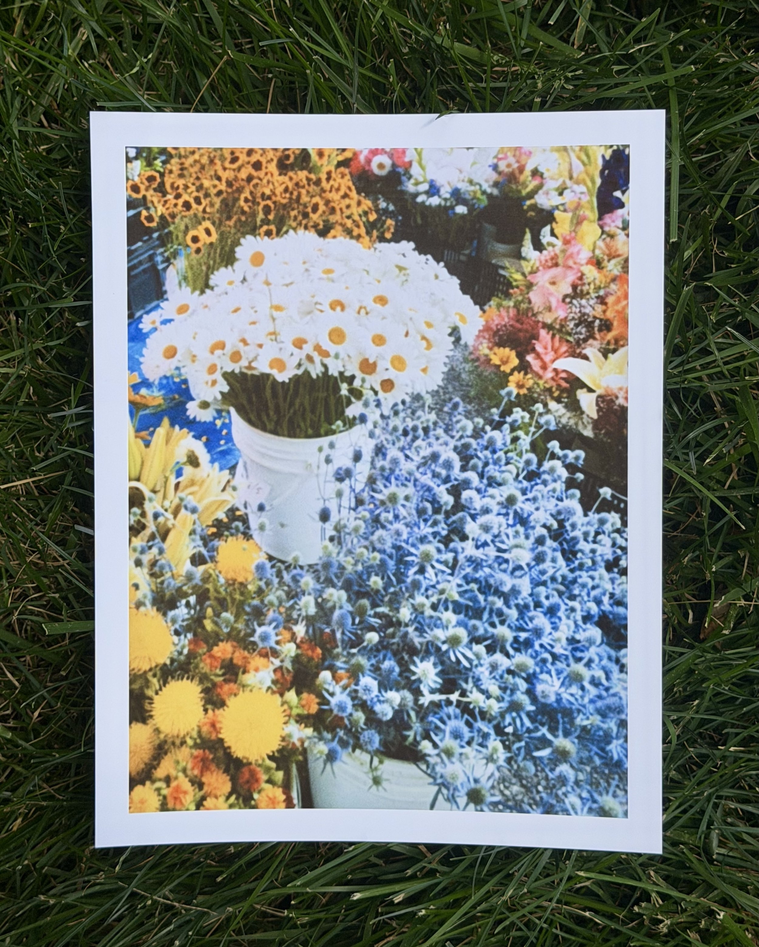 IMG_2204.jpeg