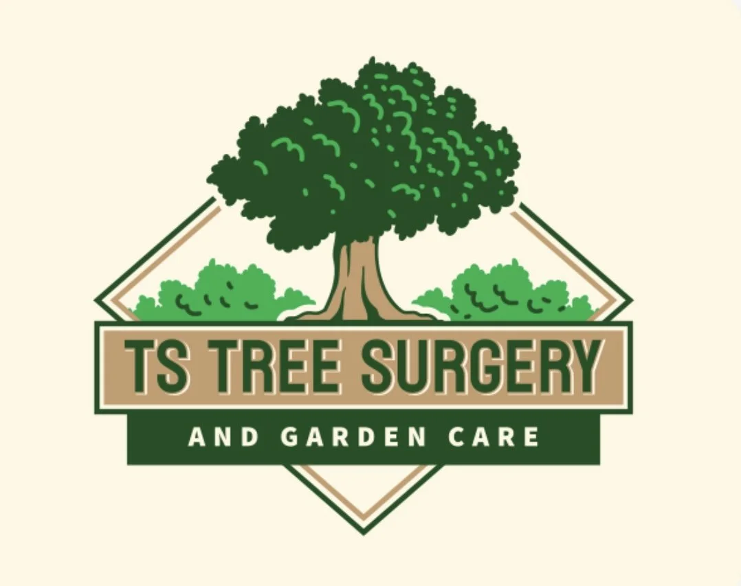 TS Tree surgery and  garden care