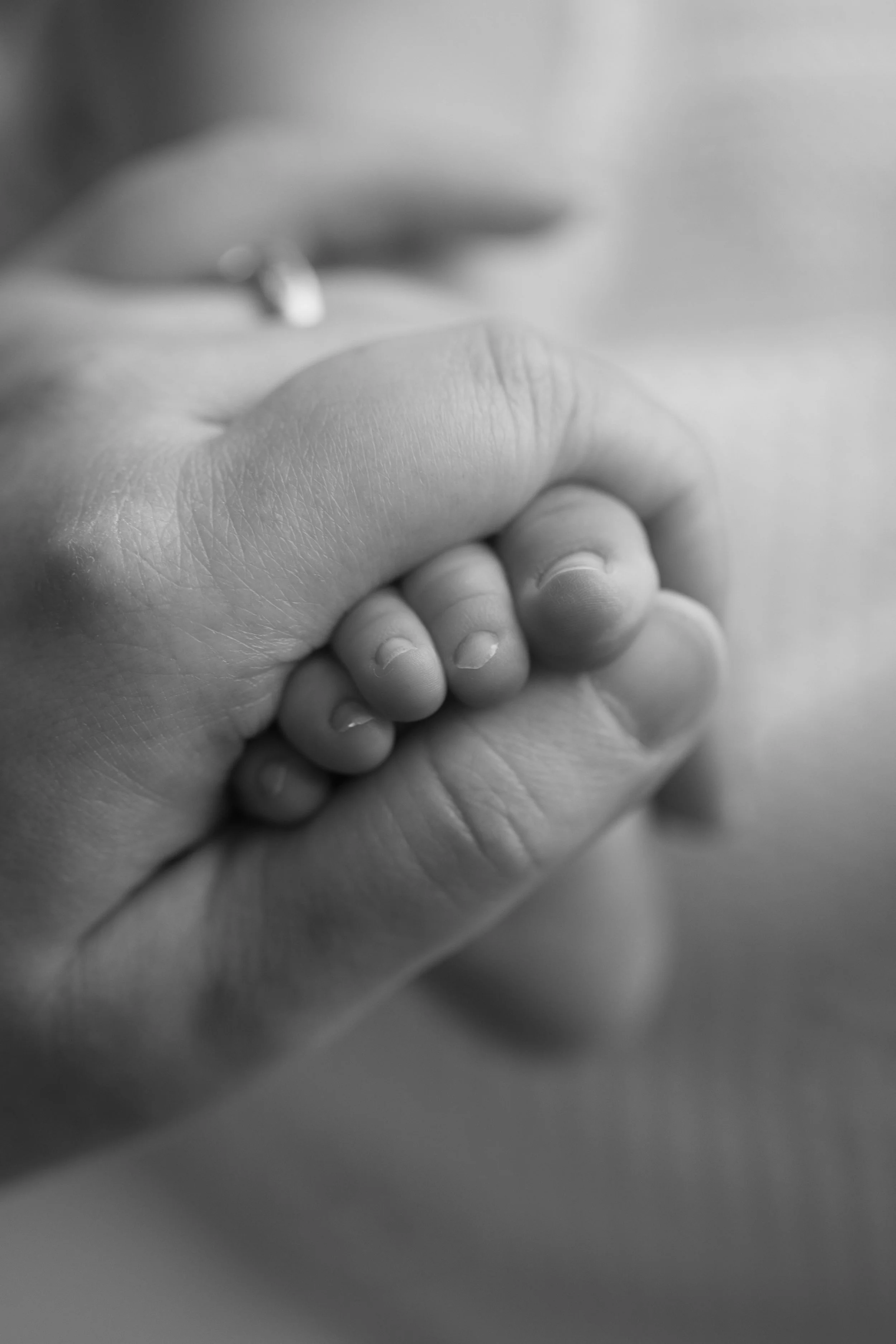 Close-up of an adult hand gently holding the tiny fingers of a baby, black and white photograph. Newborn photography in Bicester , studio.