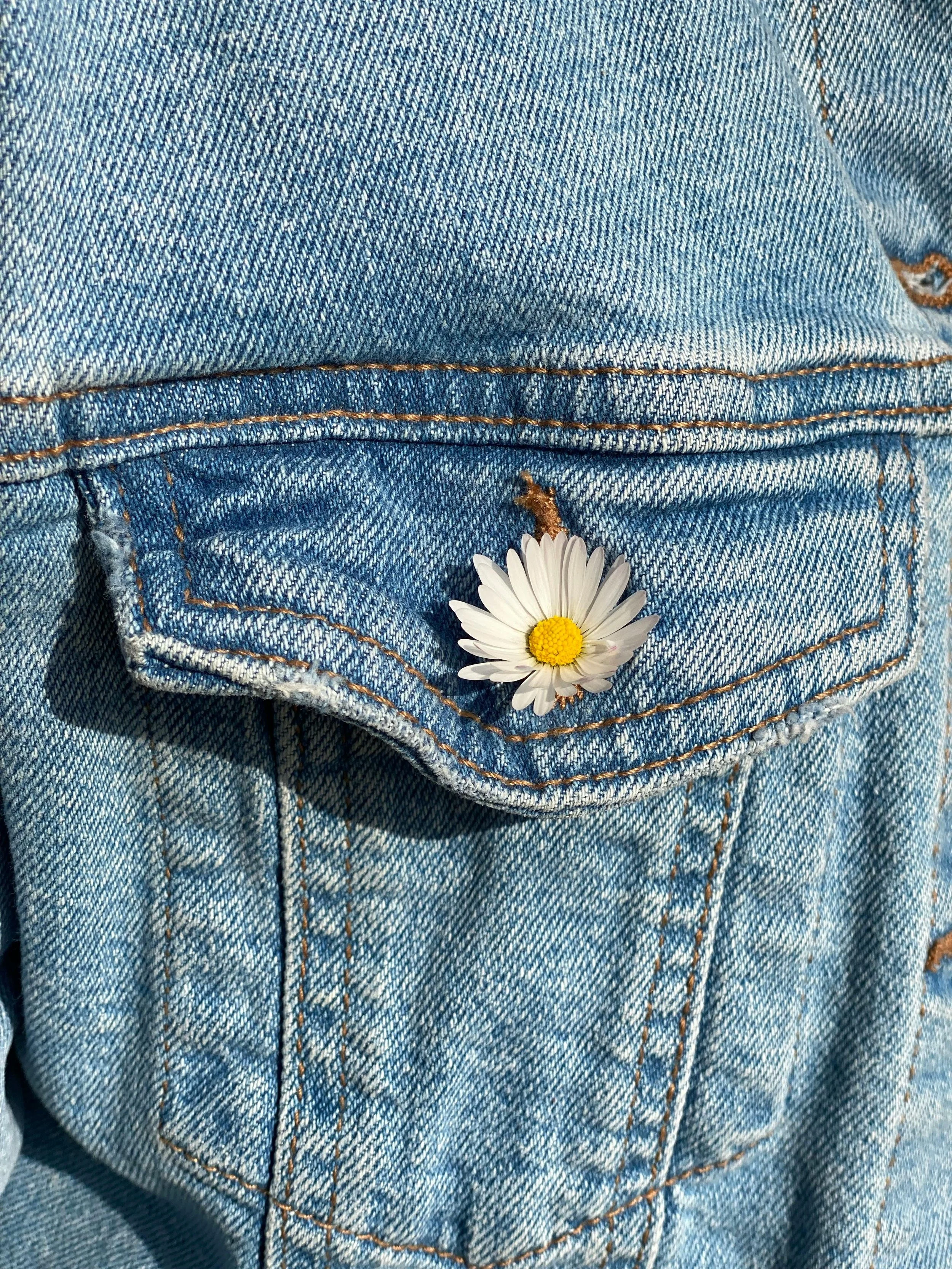 A white daisy with a yellow center resting on the pocket of a blue denim jacket.