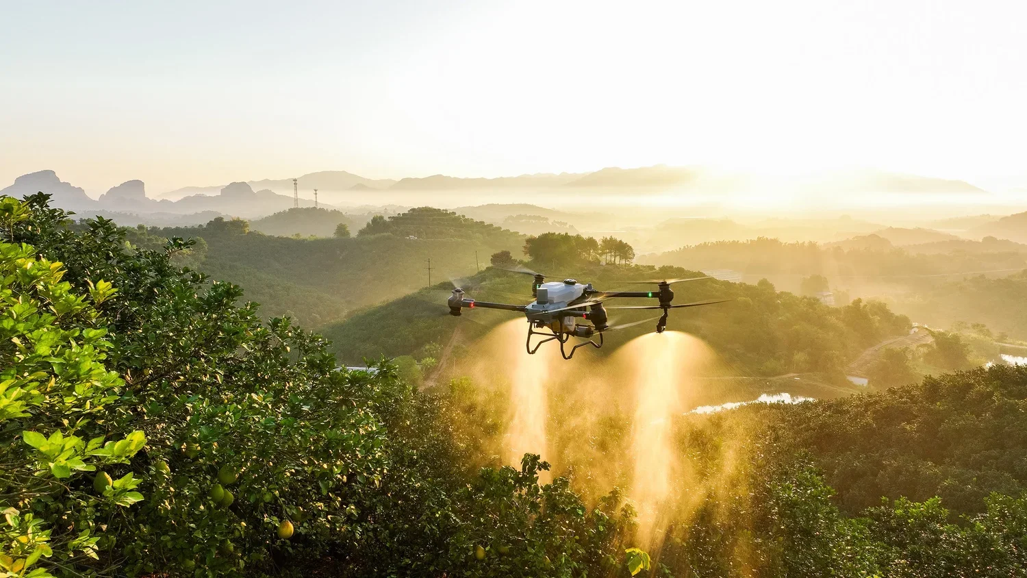 Can Drones Play a Role in Monitoring Landscape Restoration?
