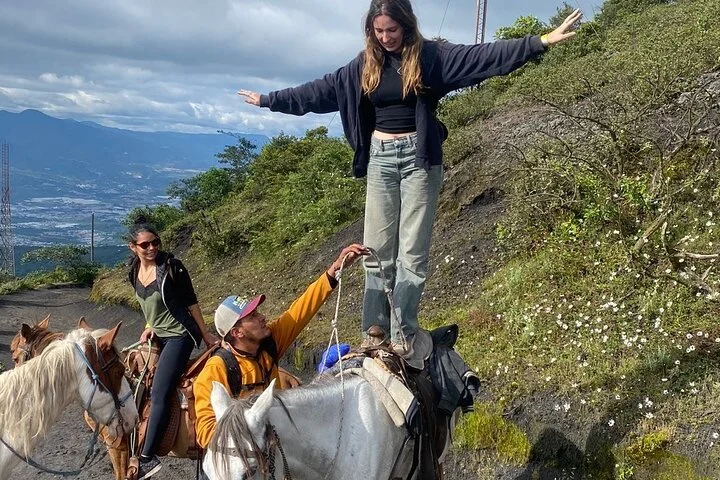 Horse 4.jpg