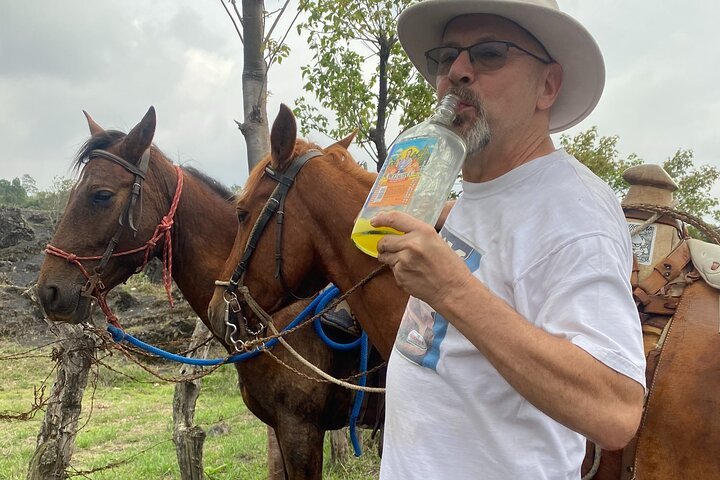 Horse 3.jpg