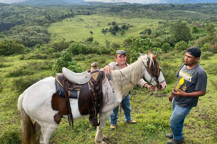 Horse 6.jpg