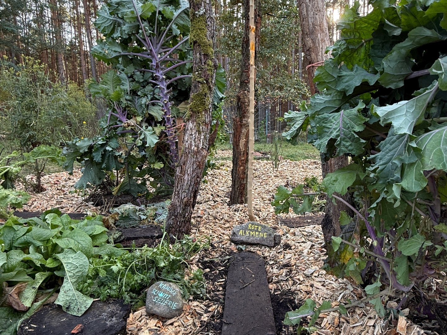 Untitled design (7).jpg