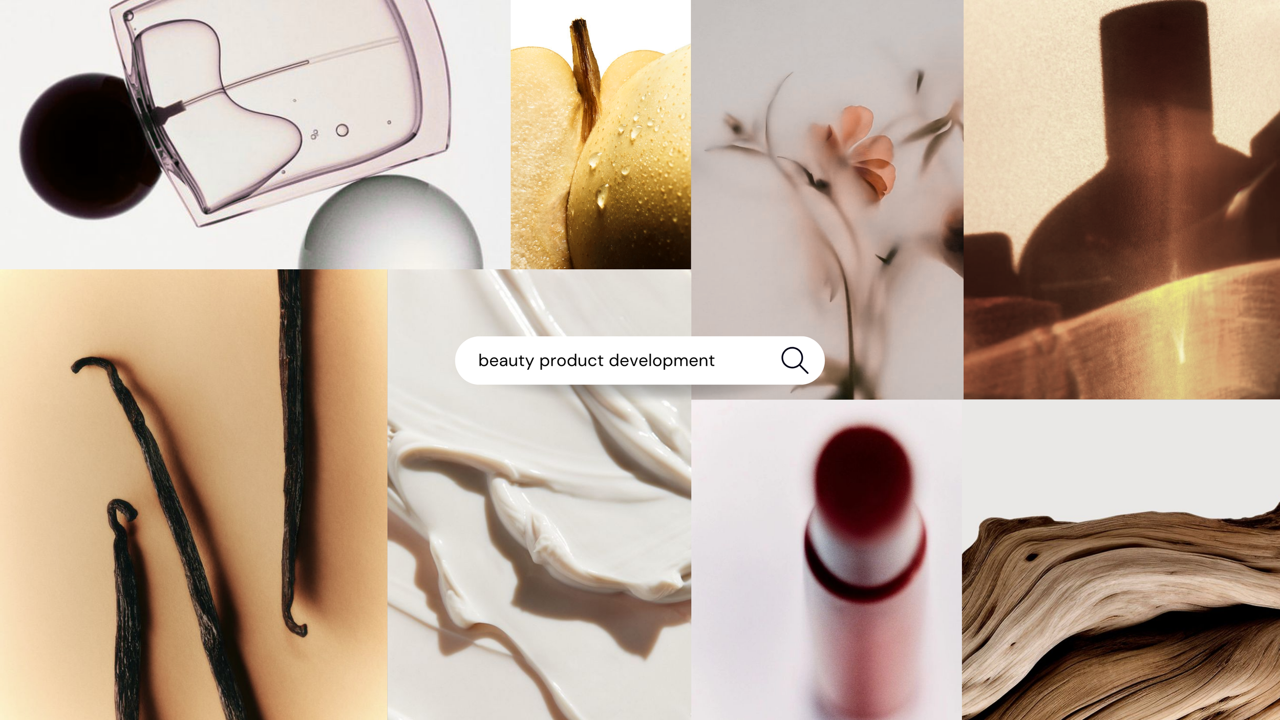 moodboard of fragrances, fruits, woods, lipstick, ingredients, petals, vanilla
