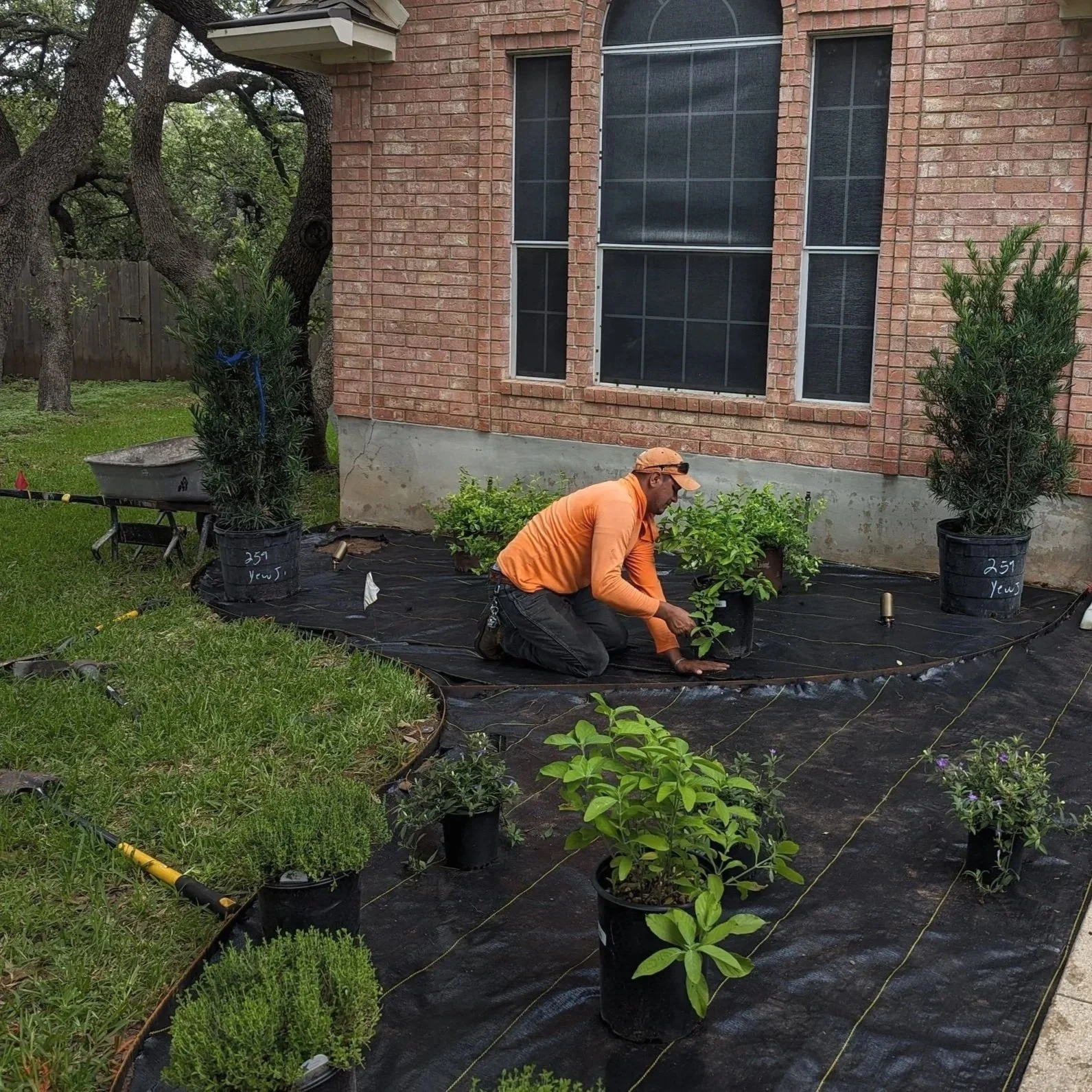 People installing sod lawn, laying down grass on soil with gloves.