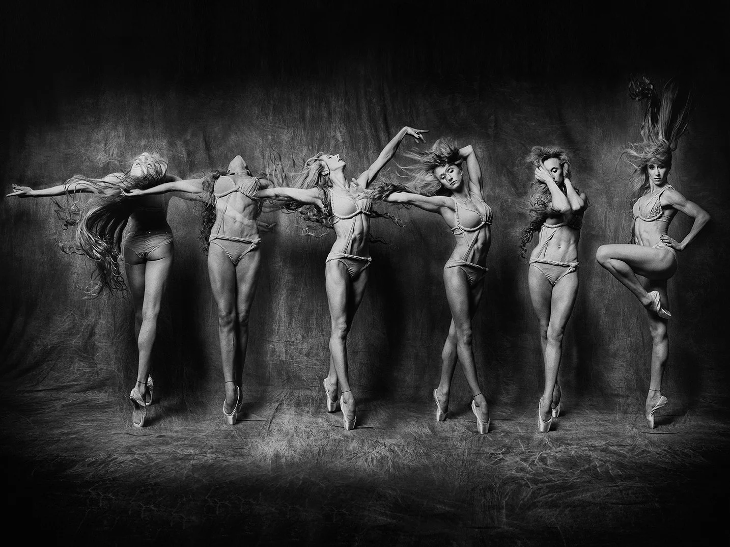 web-17x22-6pumas copy.jpg