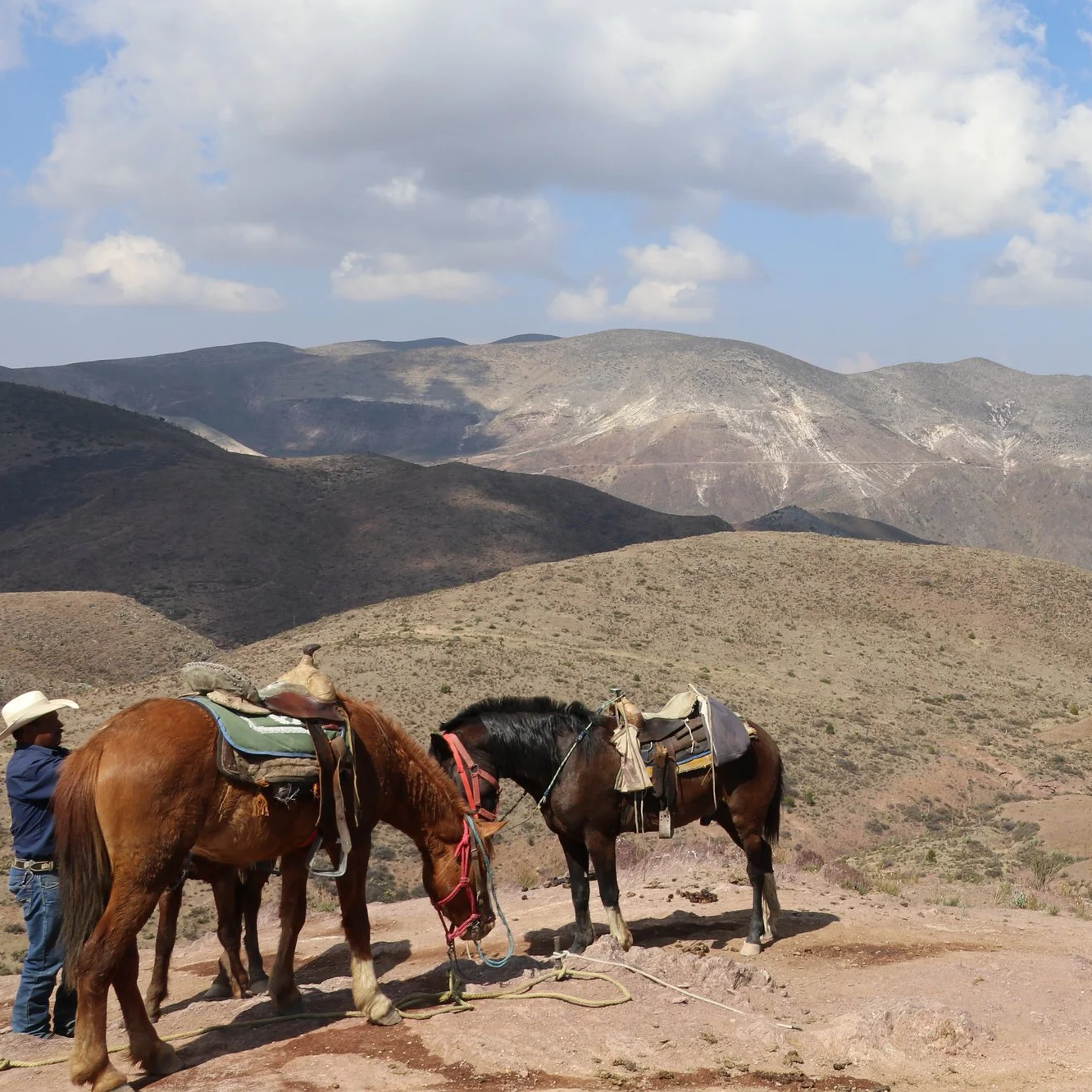 Dos caballos con montura y un jinete en un paisaje montañoso árido con nubes en el cielo, en Real de Catorce, San Luis Potosi.